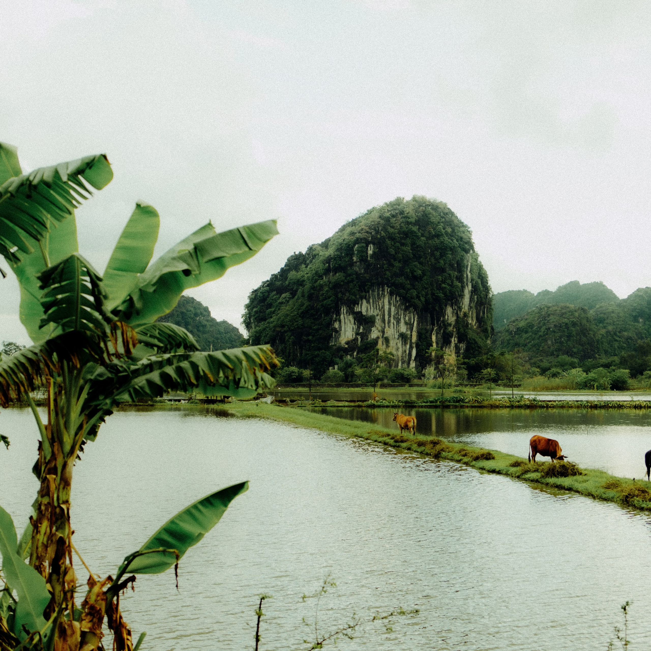 Ninh Binh. Lifestyle and wedding photographer in Dubai Valeria Kikvidze