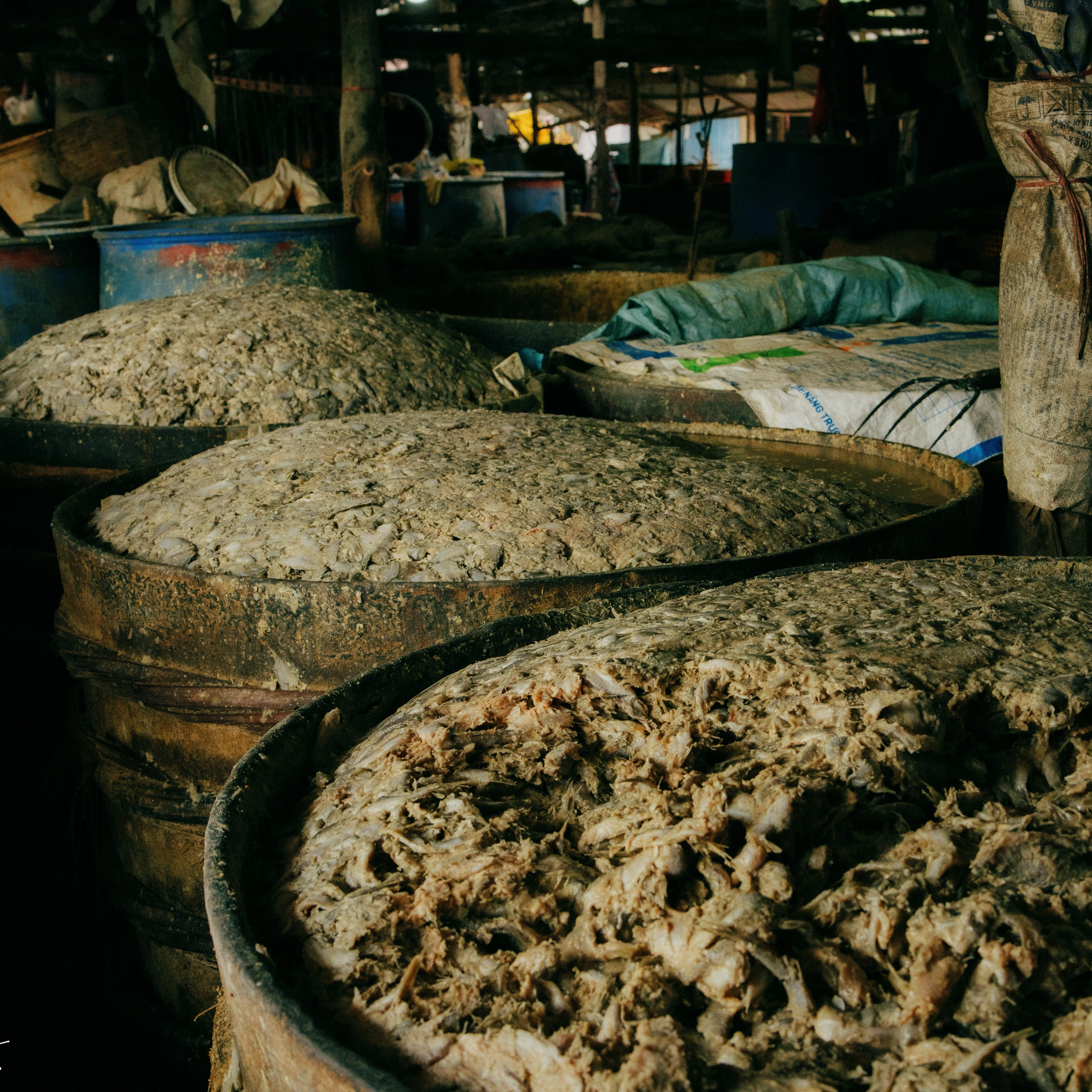 Battambang. Lifestyle and wedding photographer in Dubai Valeria Kikvidze