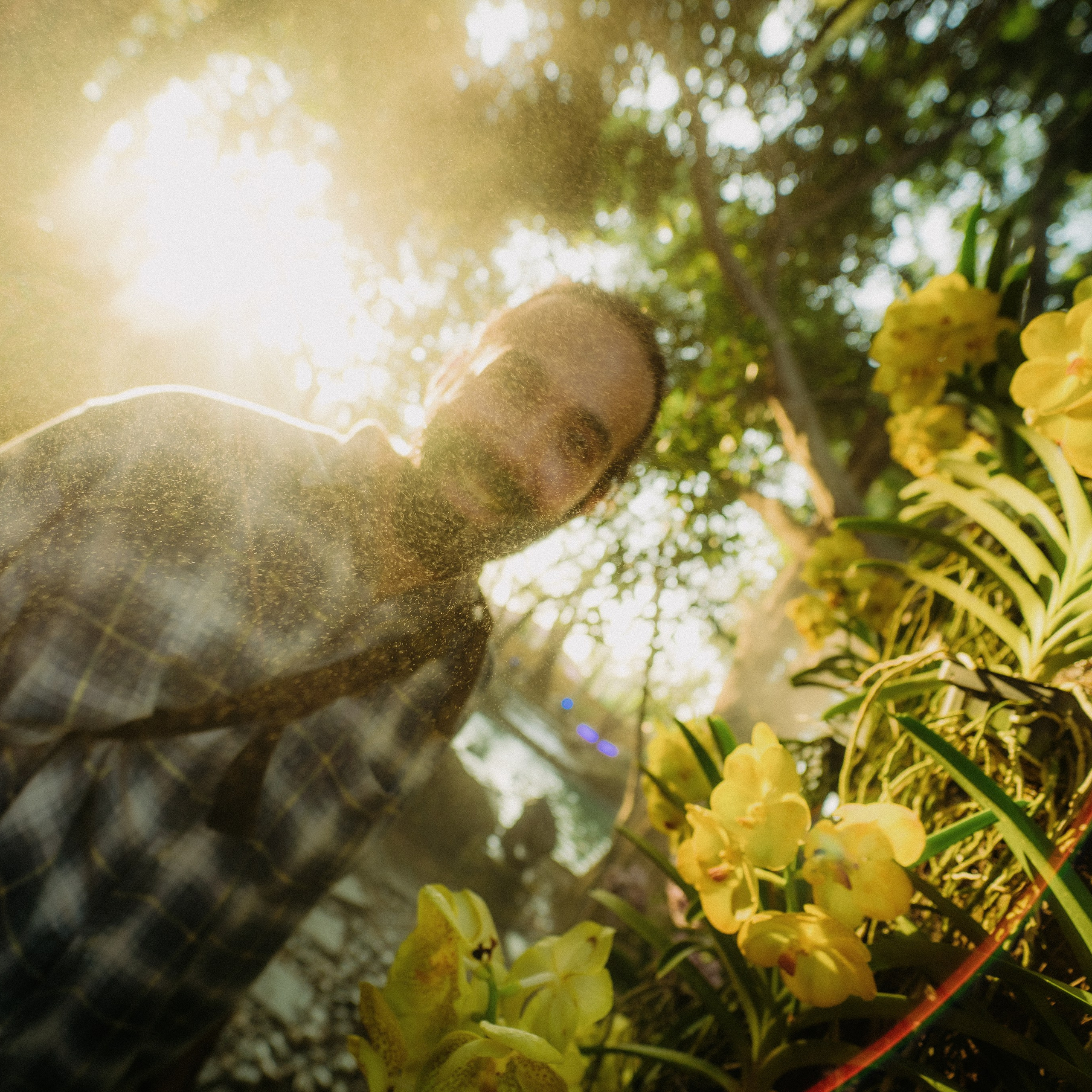 Orchies. Lifestyle and wedding photographer in Dubai Valeria Kikvidze