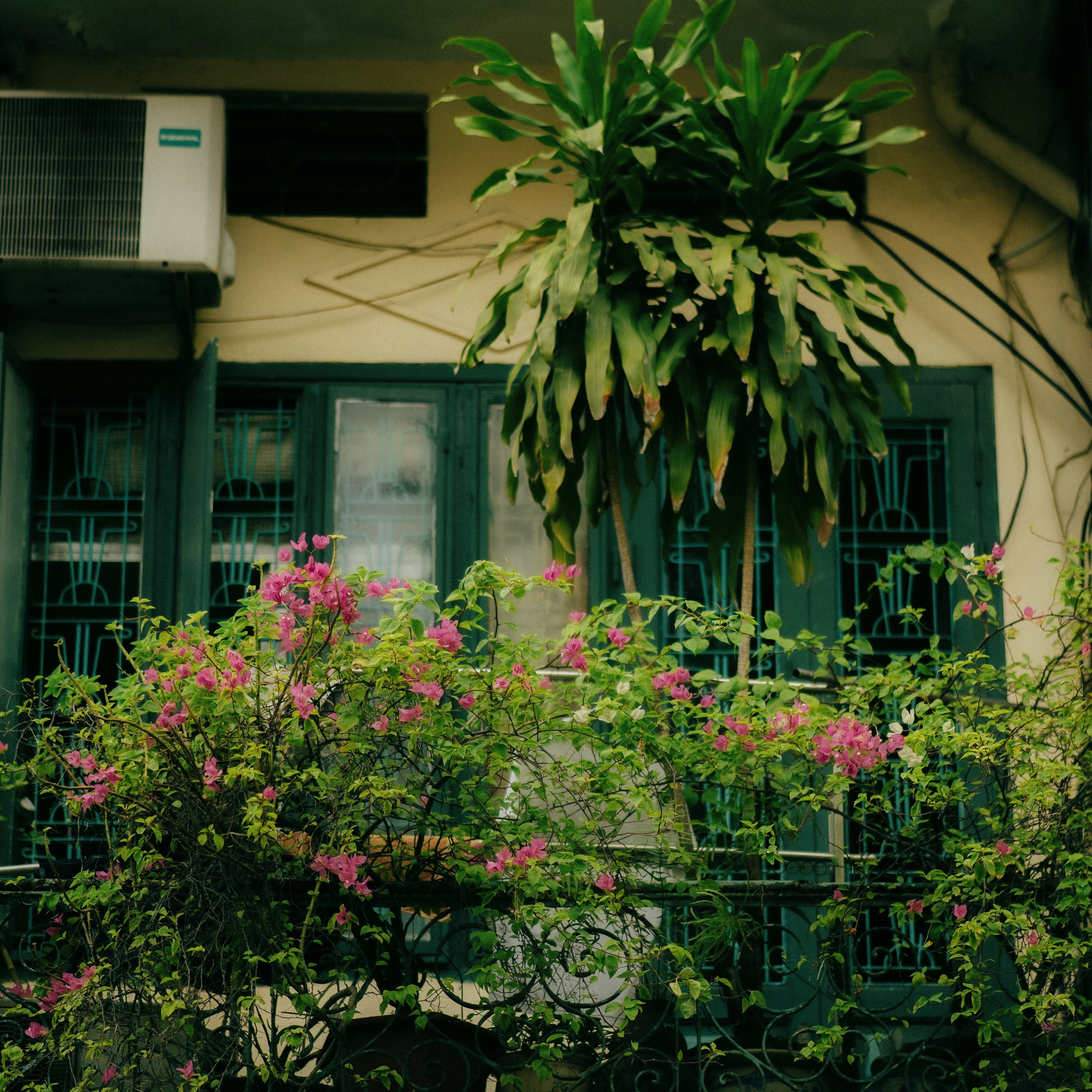 Hanoi. Lifestyle and wedding photographer in Dubai Valeria Kikvidze