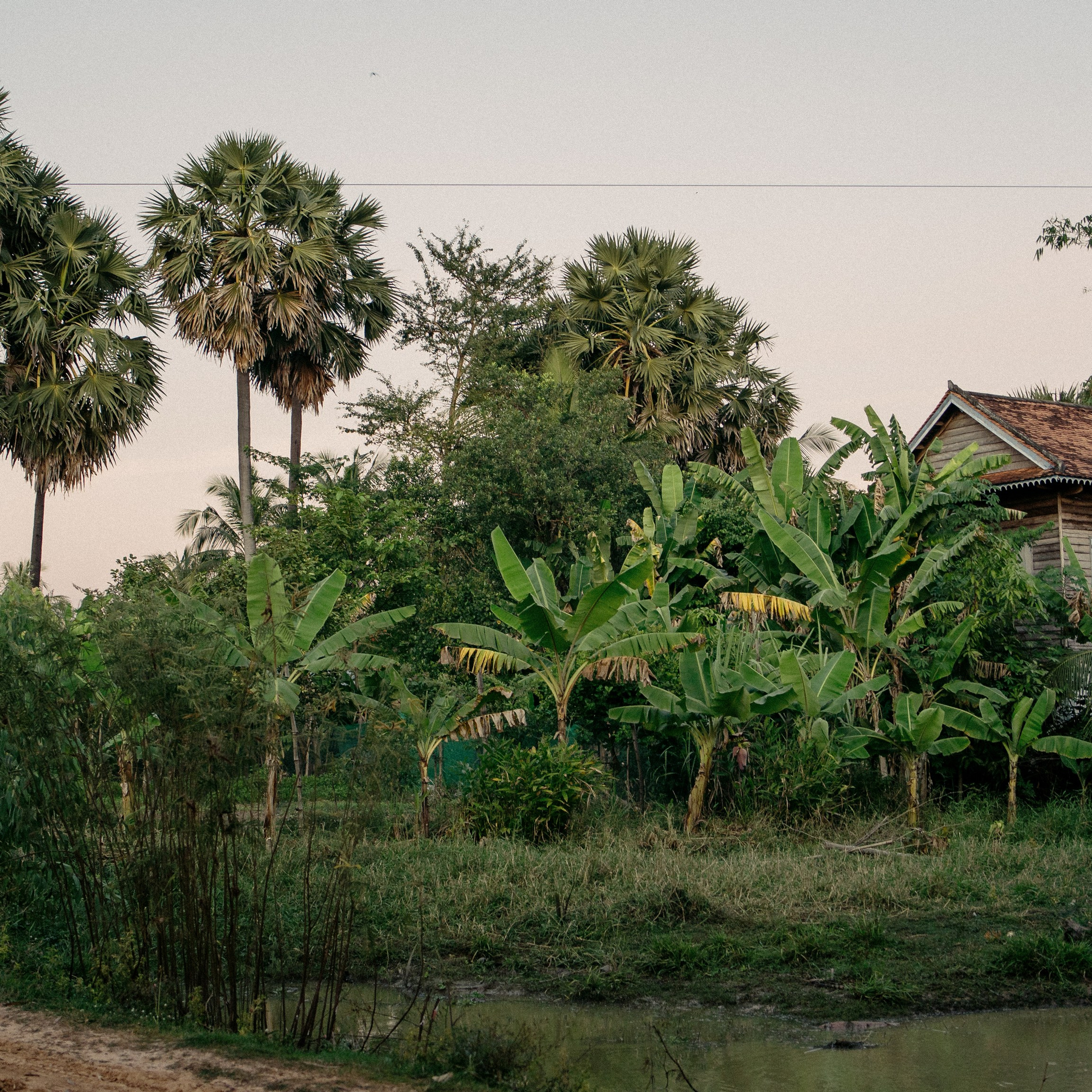 Siem Reap. Lifestyle and wedding photographer in Dubai Valeria Kikvidze
