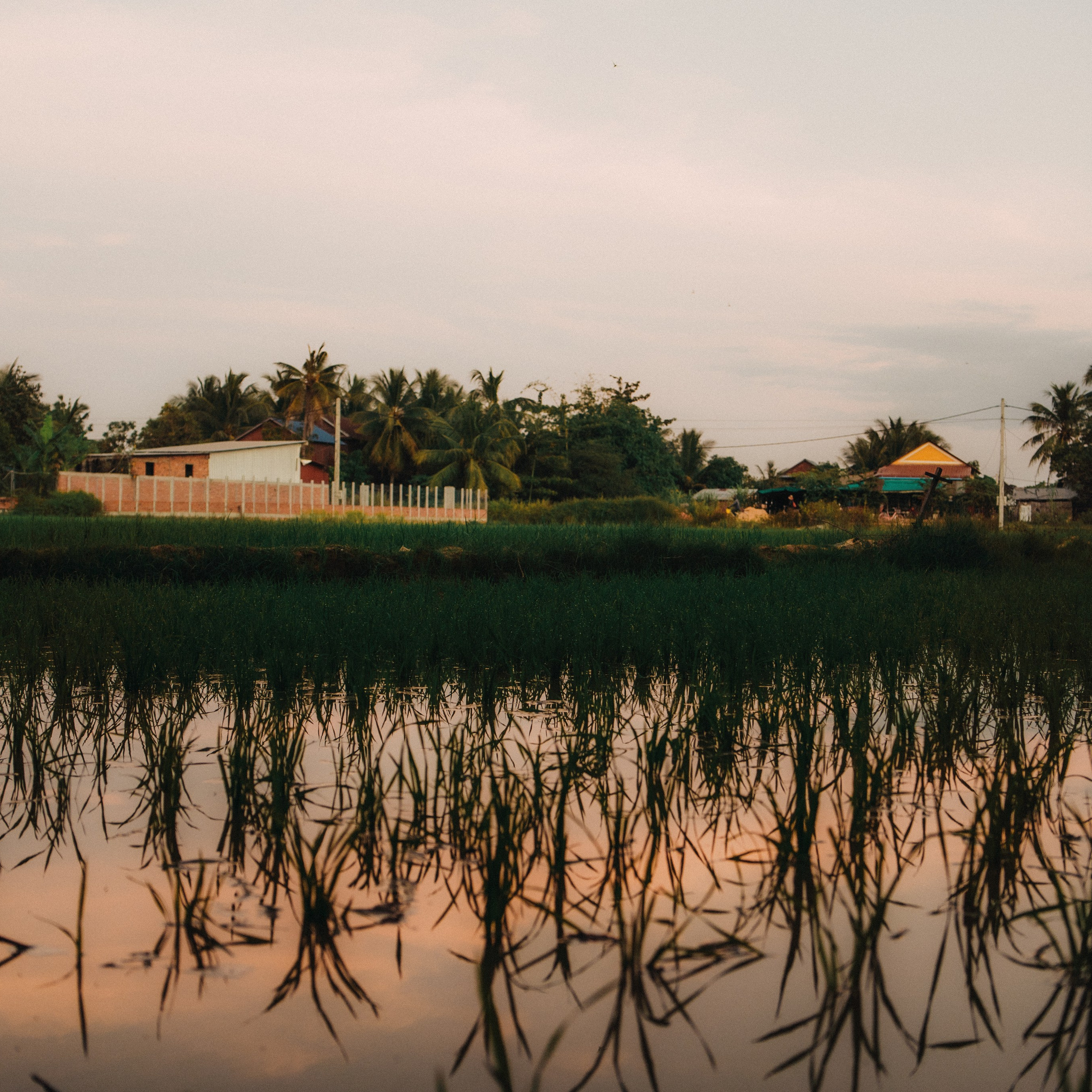Siem Reap. Lifestyle and wedding photographer in Dubai Valeria Kikvidze