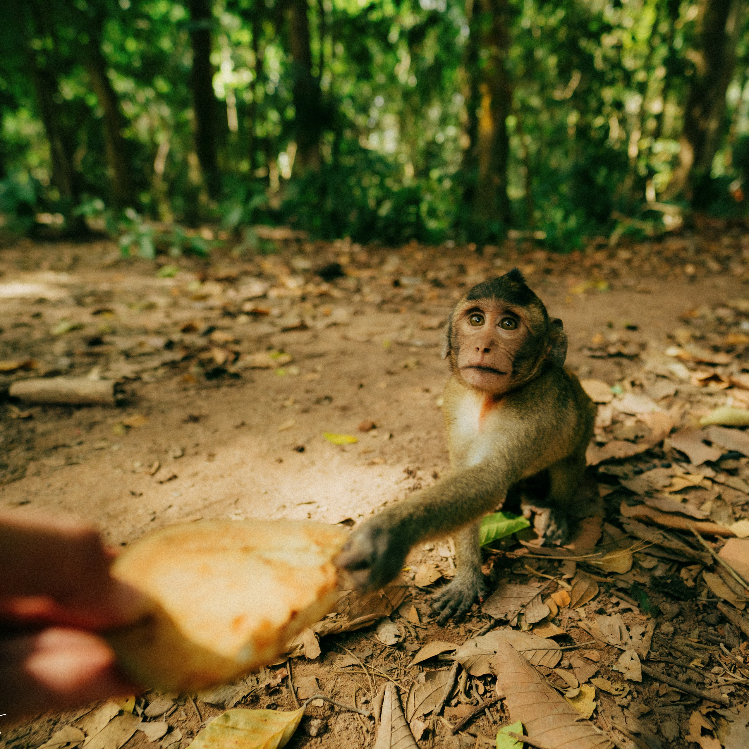 Angkor Wat. Lifestyle and wedding photographer in Dubai Valeria Kikvidze
