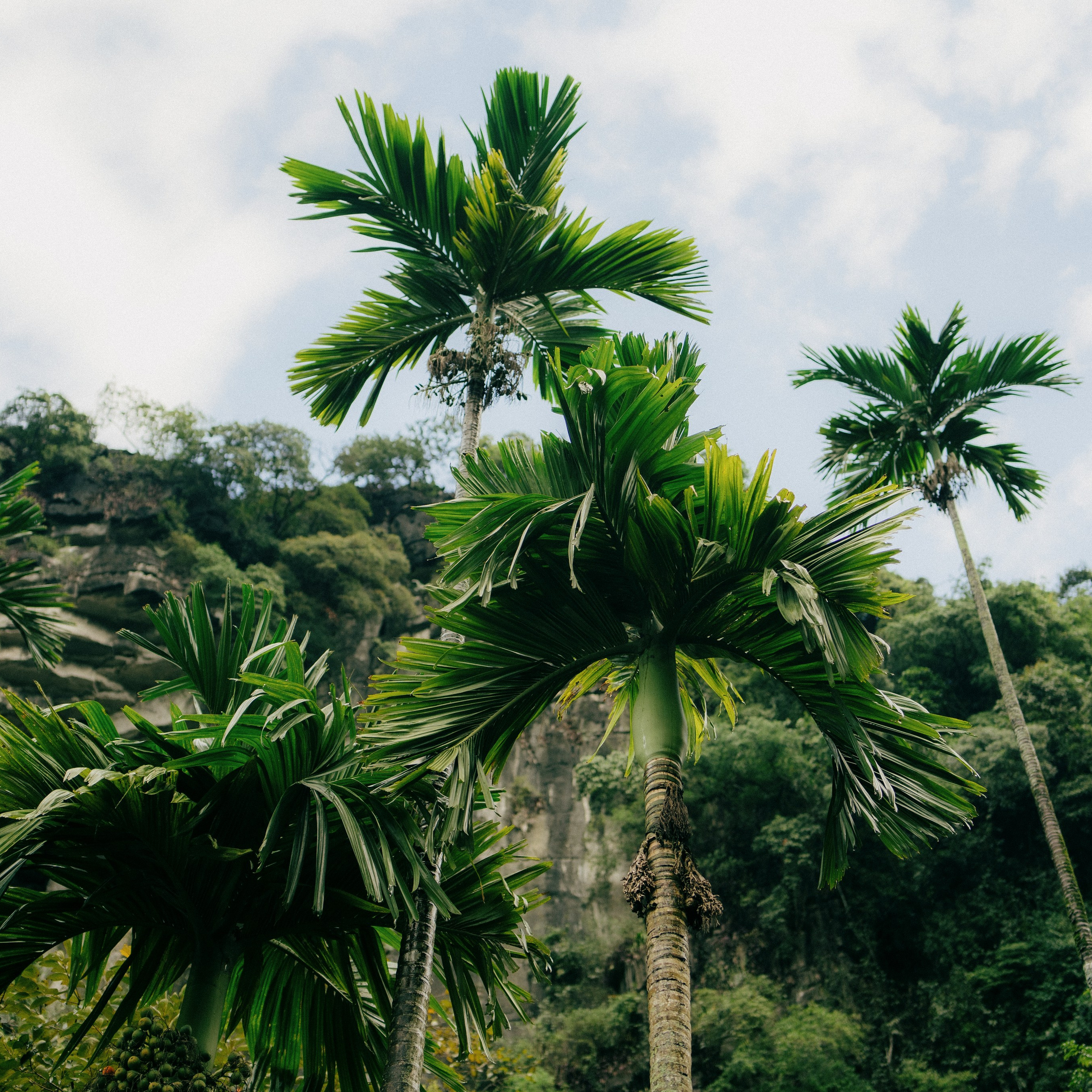 Ninh Binh. Lifestyle and wedding photographer in Dubai Valeria Kikvidze