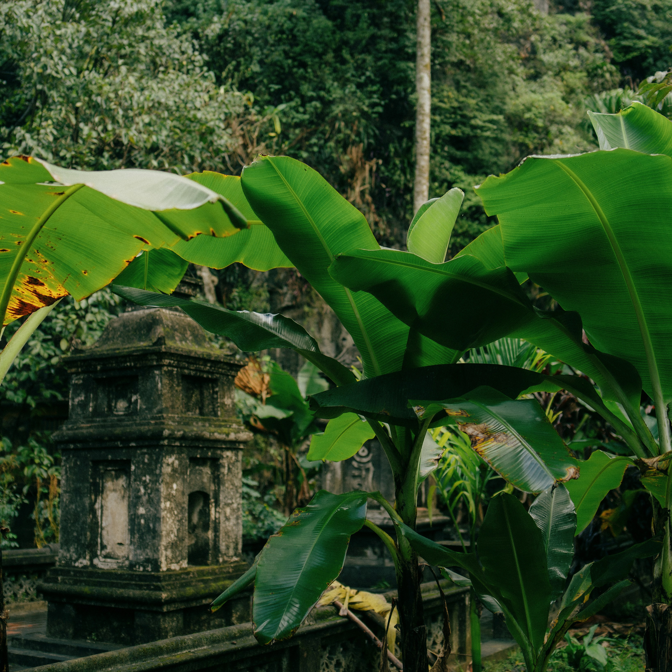 Ninh Binh. Lifestyle and wedding photographer in Dubai Valeria Kikvidze