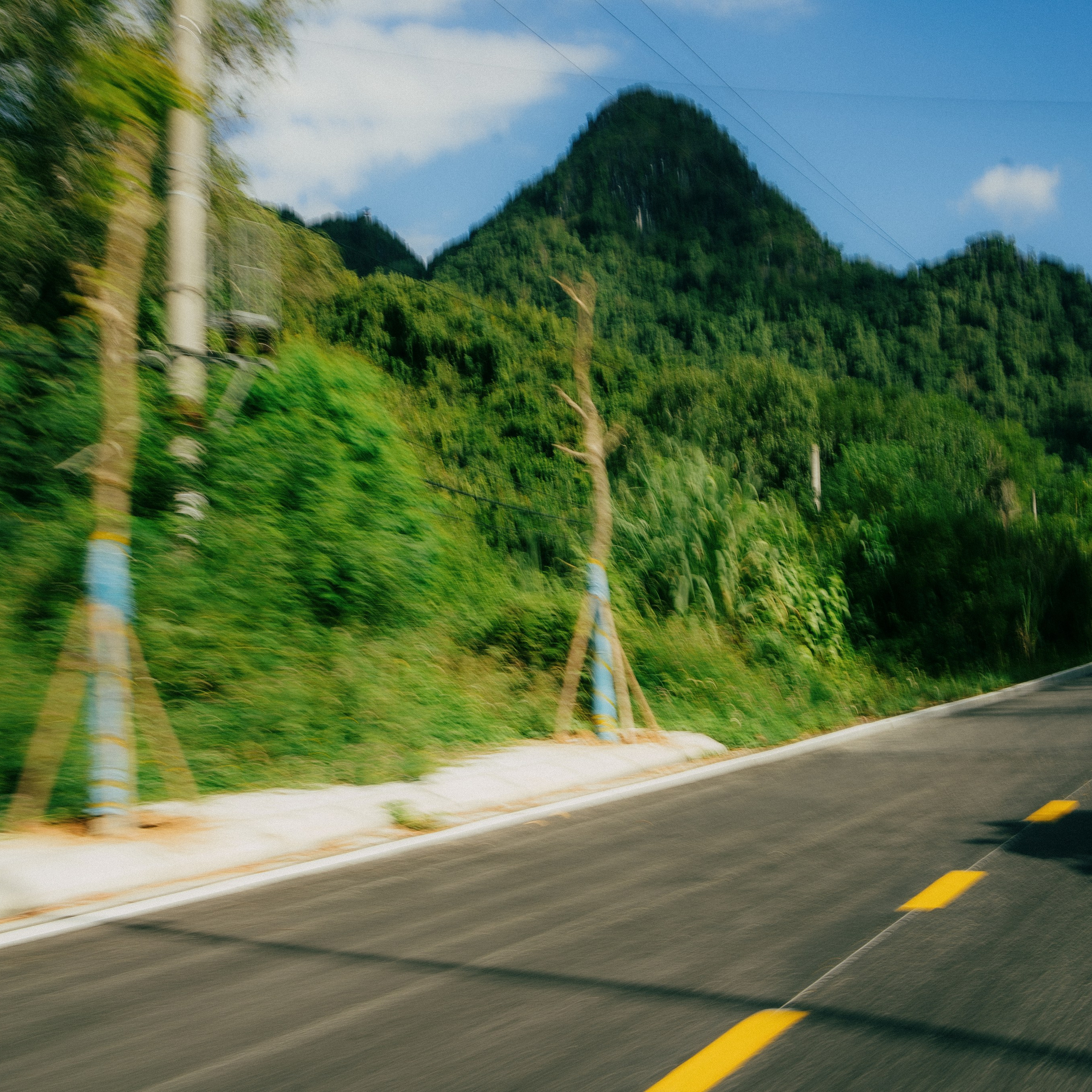 Cat Ba. Lifestyle and wedding photographer in Dubai Valeria Kikvidze