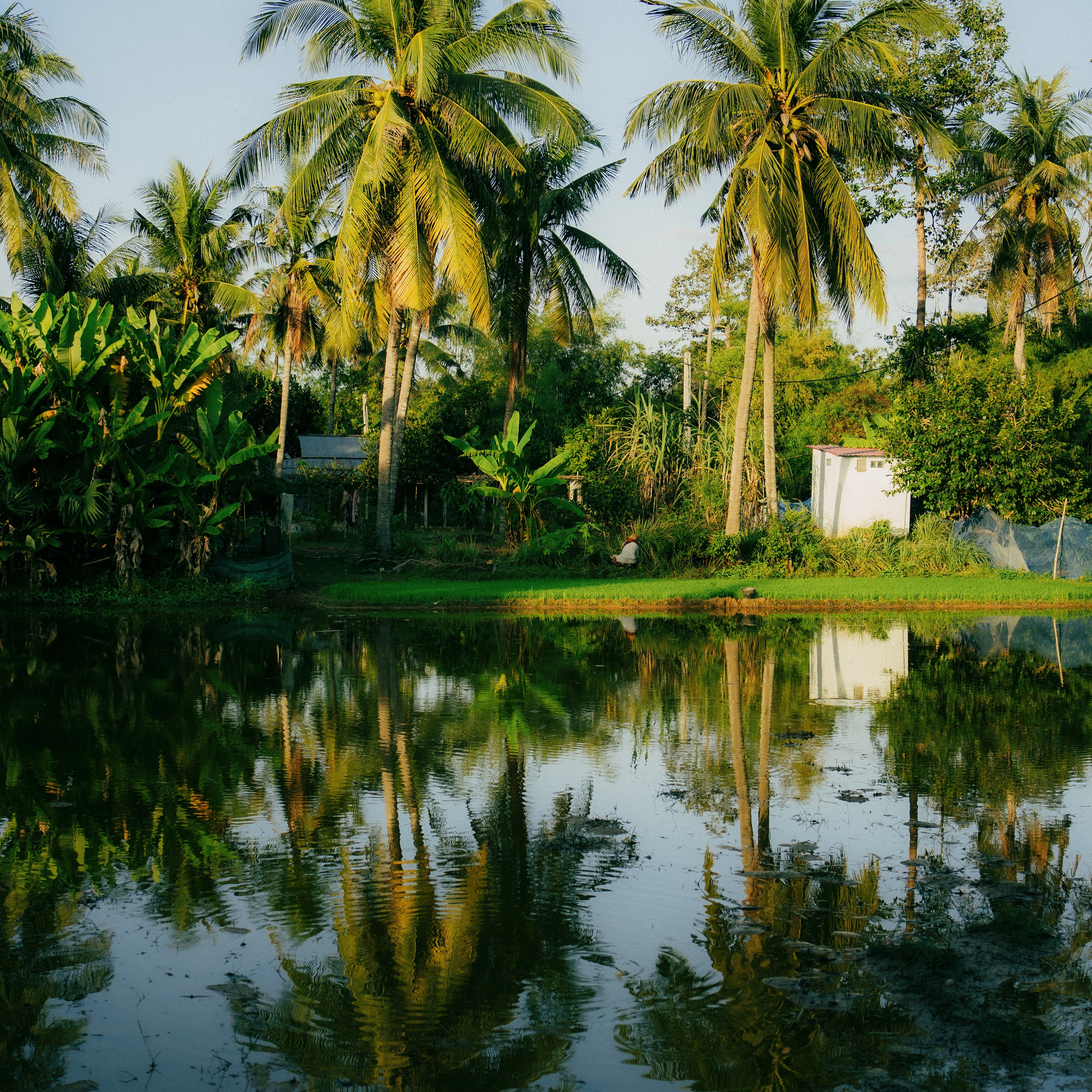 Siem Reap. Lifestyle and wedding photographer in Dubai Valeria Kikvidze