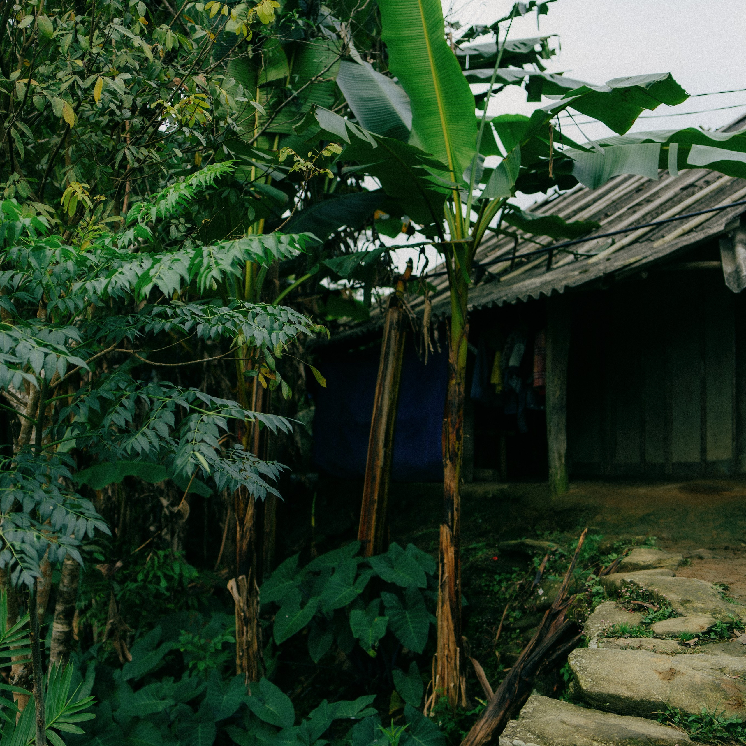 Ninh Binh. Lifestyle and wedding photographer in Dubai Valeria Kikvidze