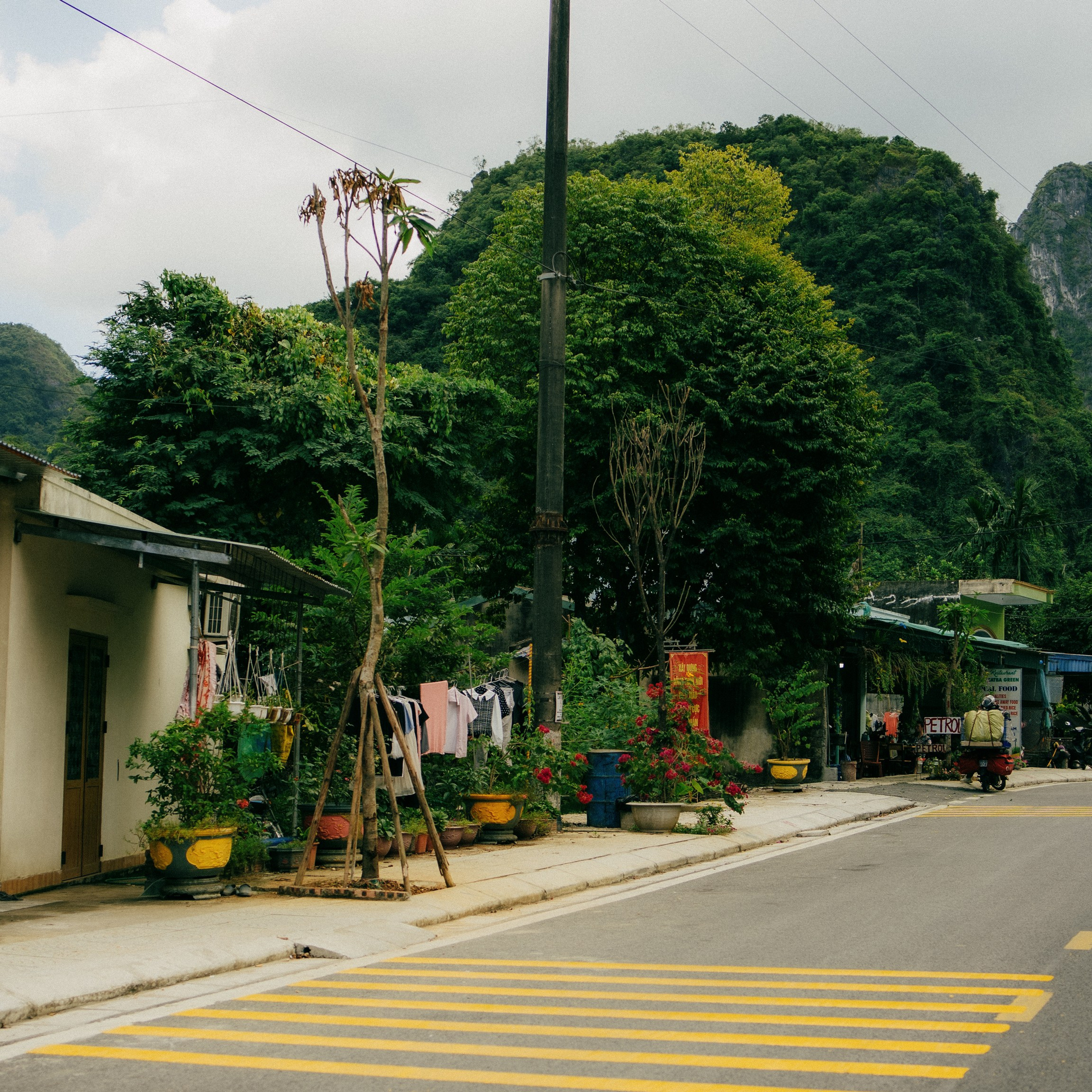 Cat Ba. Lifestyle and wedding photographer in Dubai Valeria Kikvidze