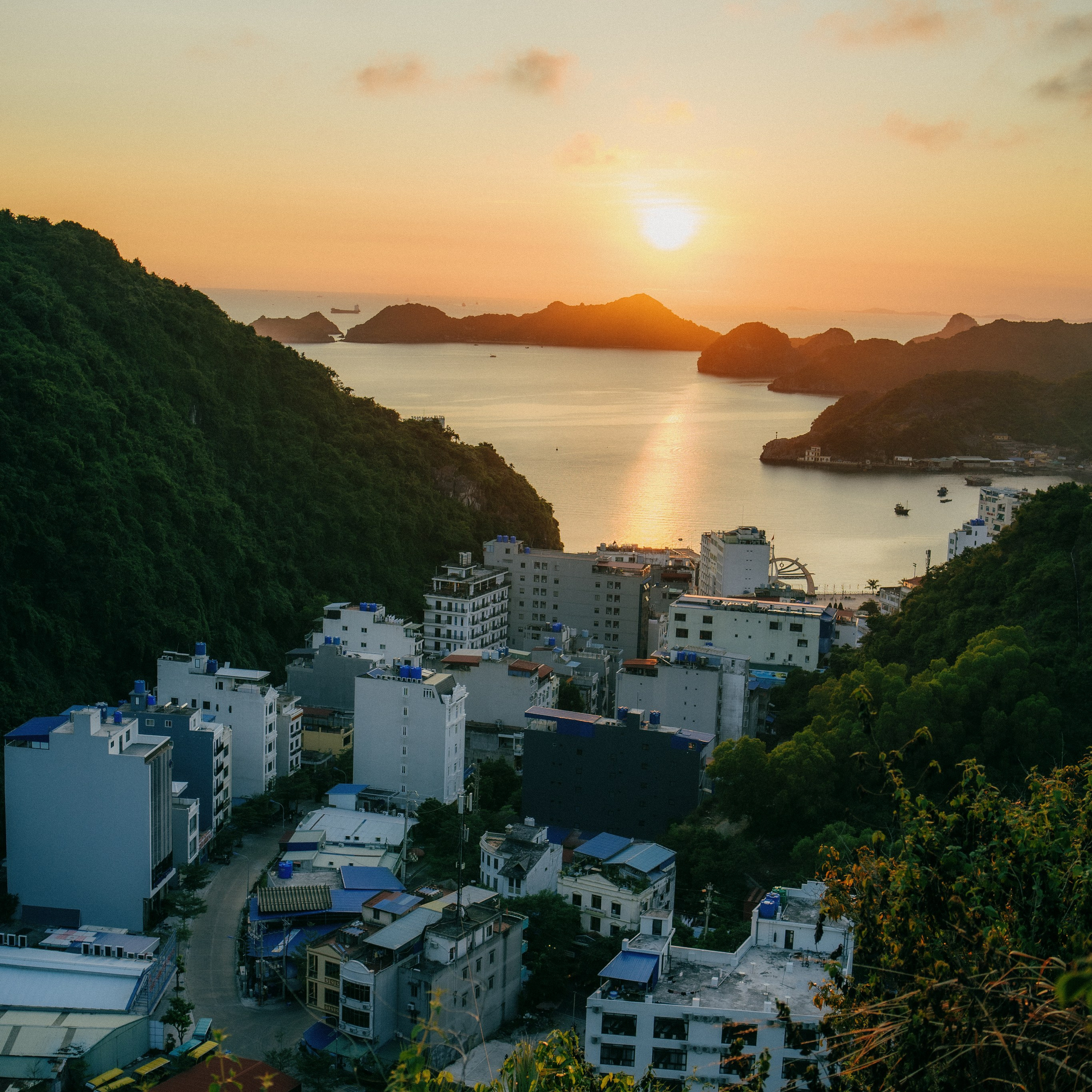 Cat Ba. Lifestyle and wedding photographer in Dubai Valeria Kikvidze