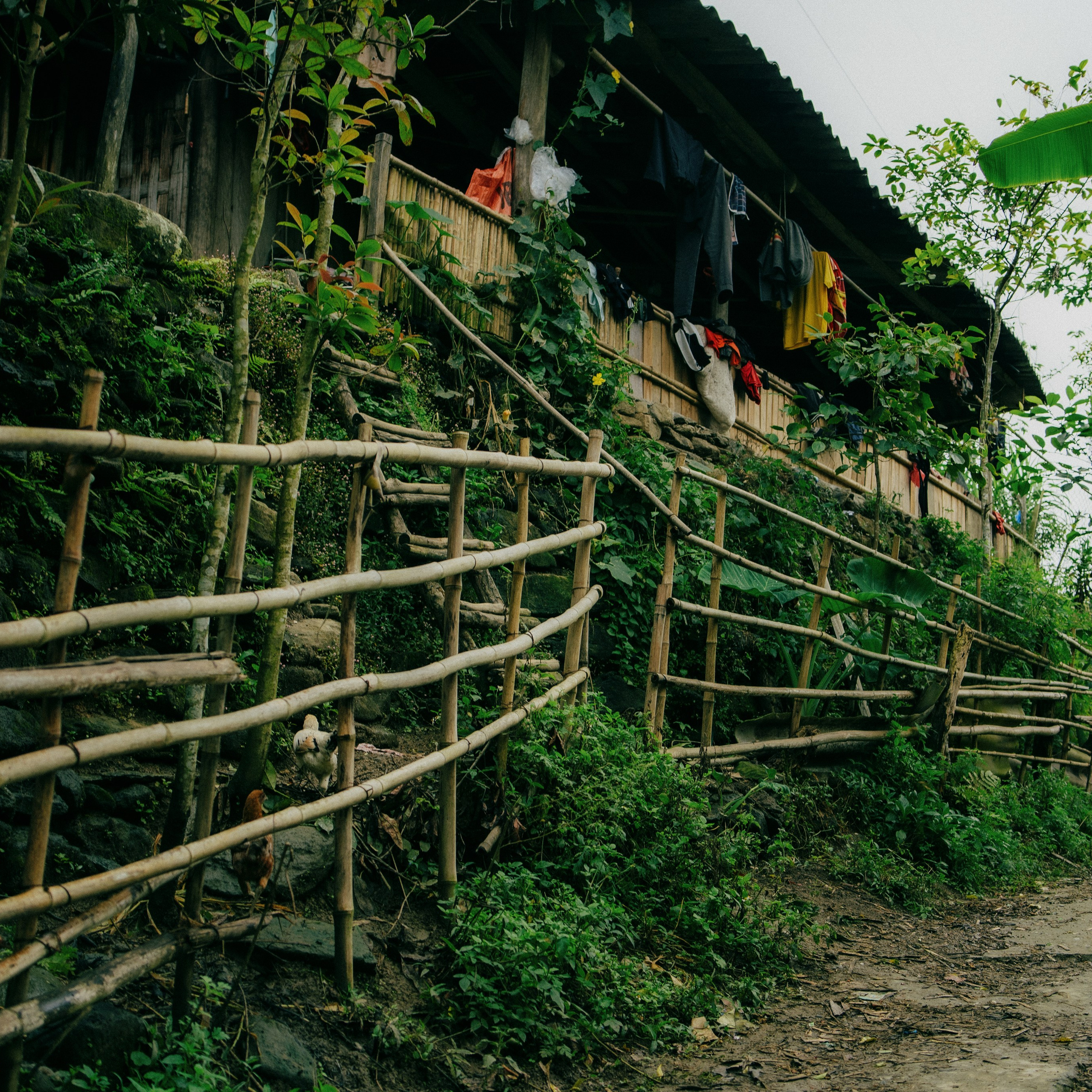 Ninh Binh. Lifestyle and wedding photographer in Dubai Valeria Kikvidze