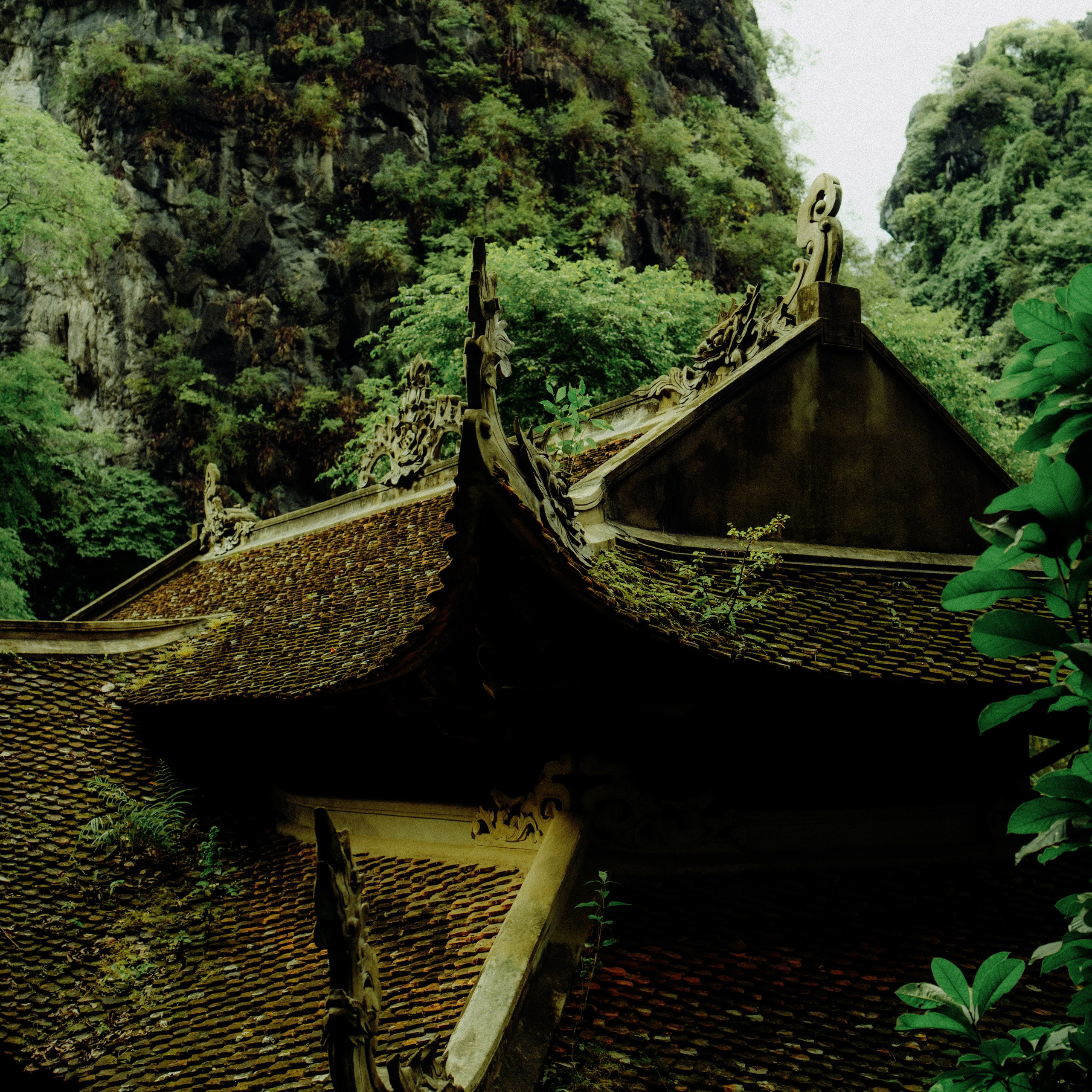 Ninh Binh. Lifestyle and wedding photographer in Dubai Valeria Kikvidze