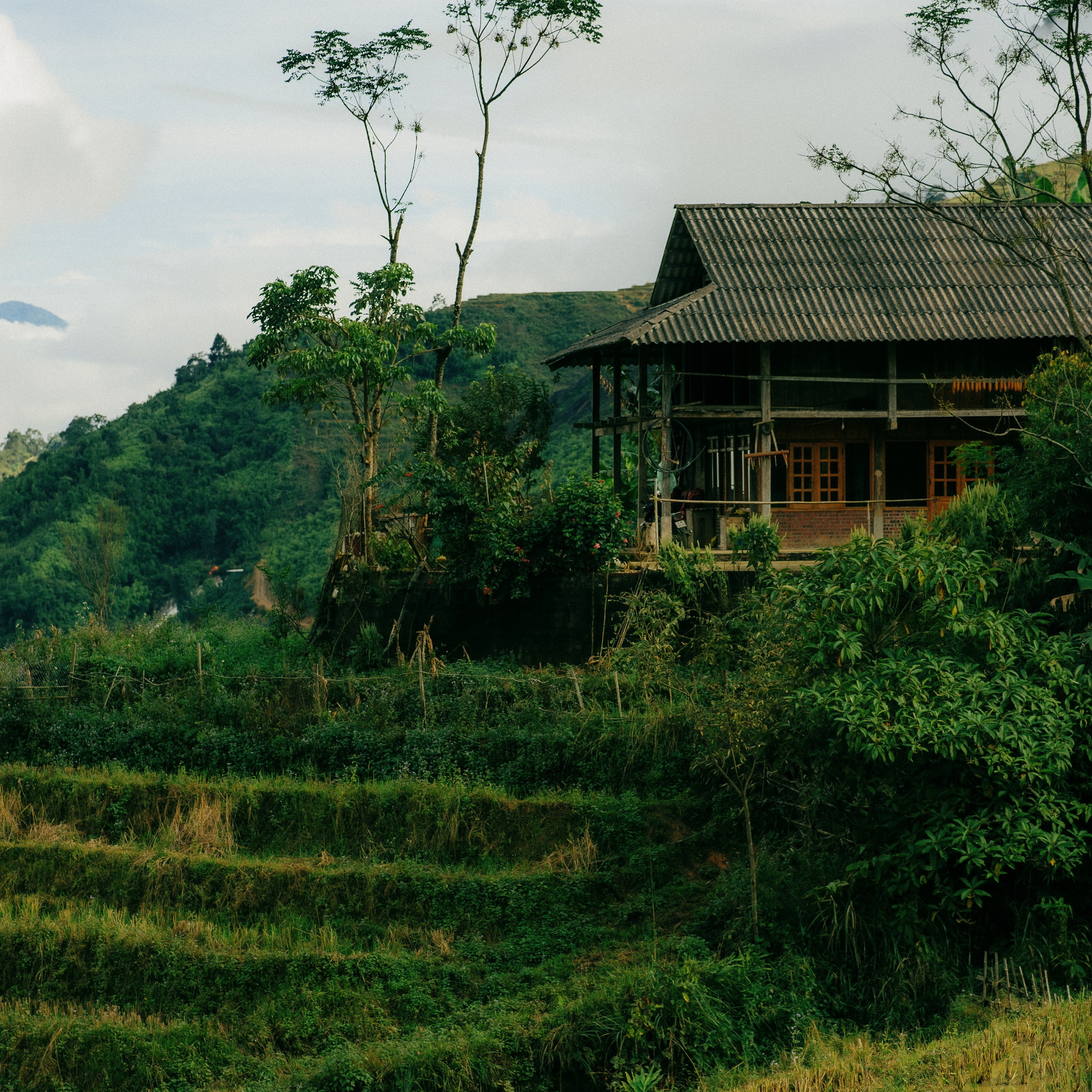 Ninh Binh. Lifestyle and wedding photographer in Dubai Valeria Kikvidze