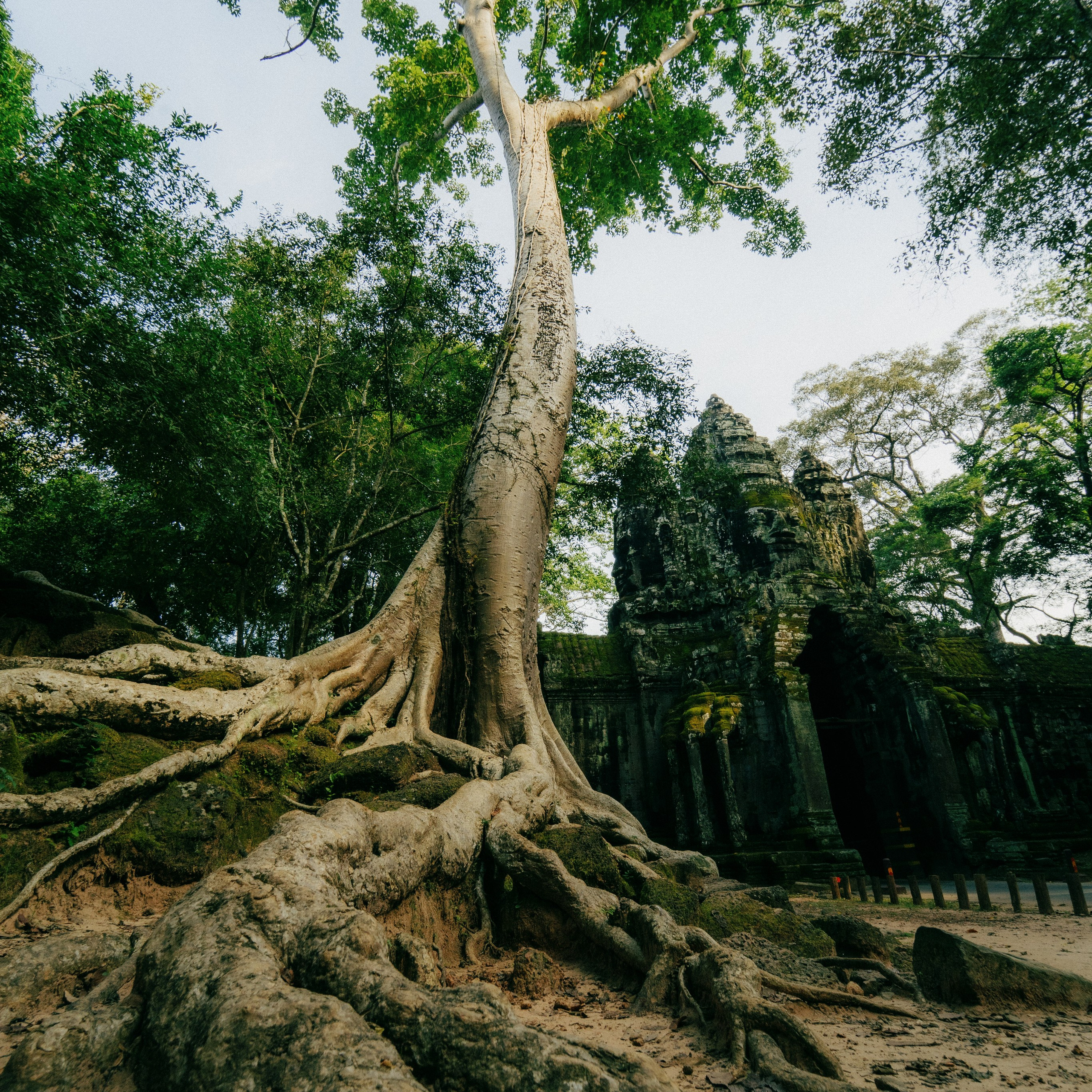 Angkor Wat. Lifestyle and wedding photographer in Dubai Valeria Kikvidze