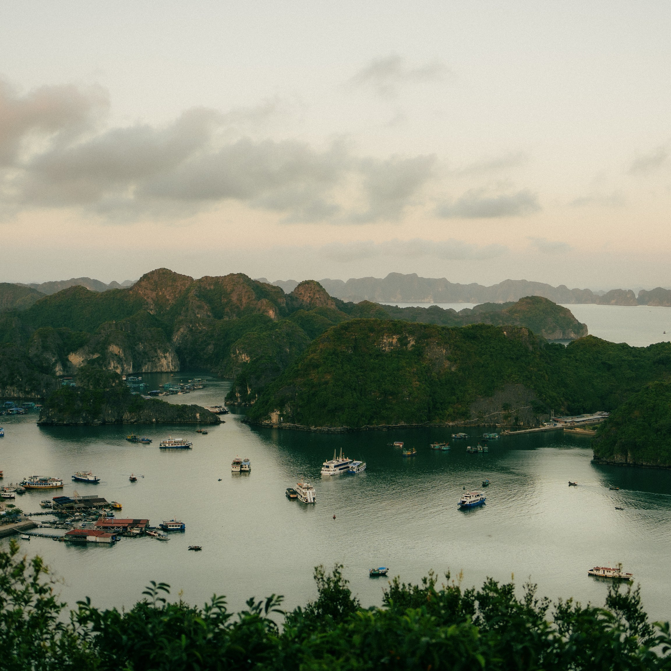 Cat Ba. Lifestyle and wedding photographer in Dubai Valeria Kikvidze