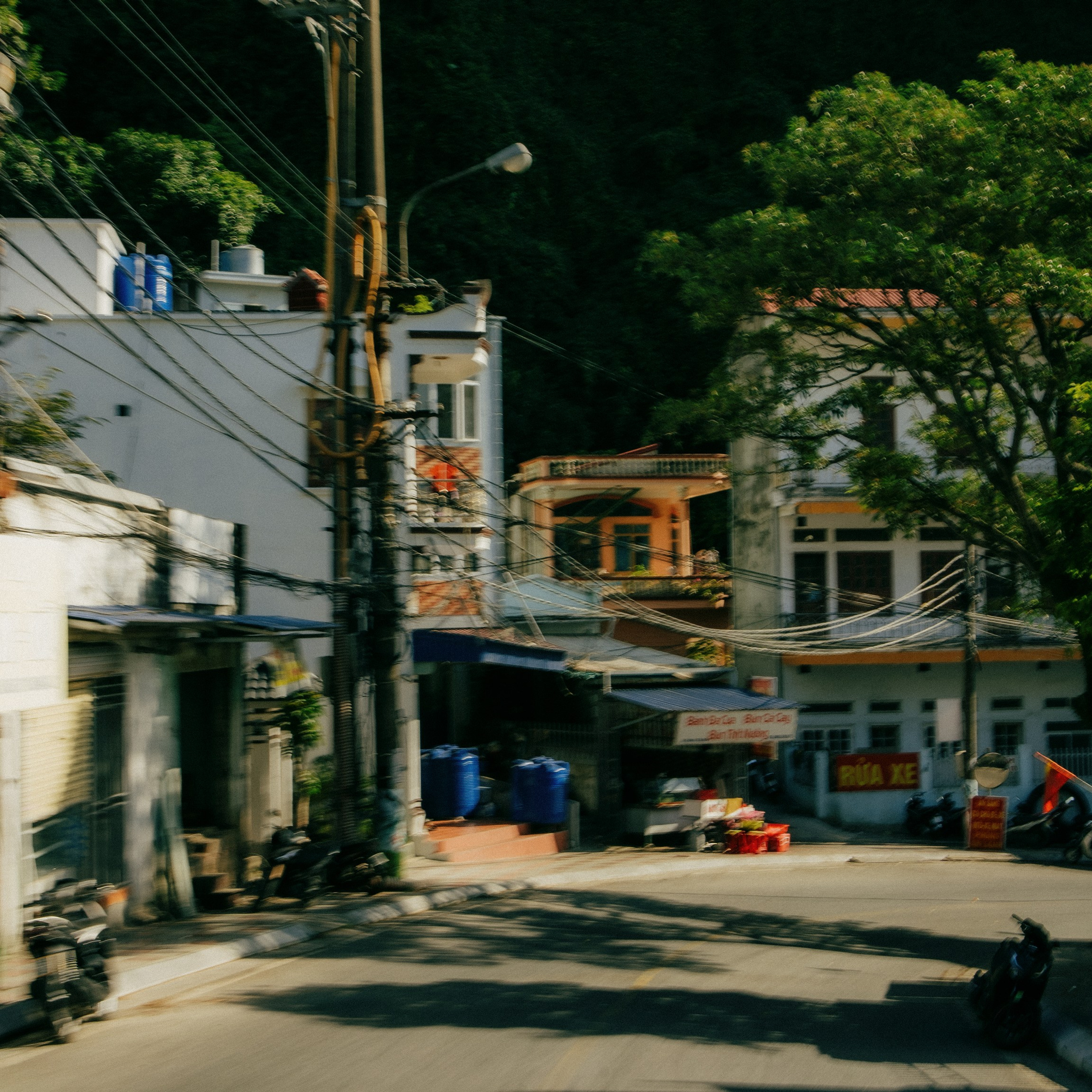 Cat Ba. Lifestyle and wedding photographer in Dubai Valeria Kikvidze