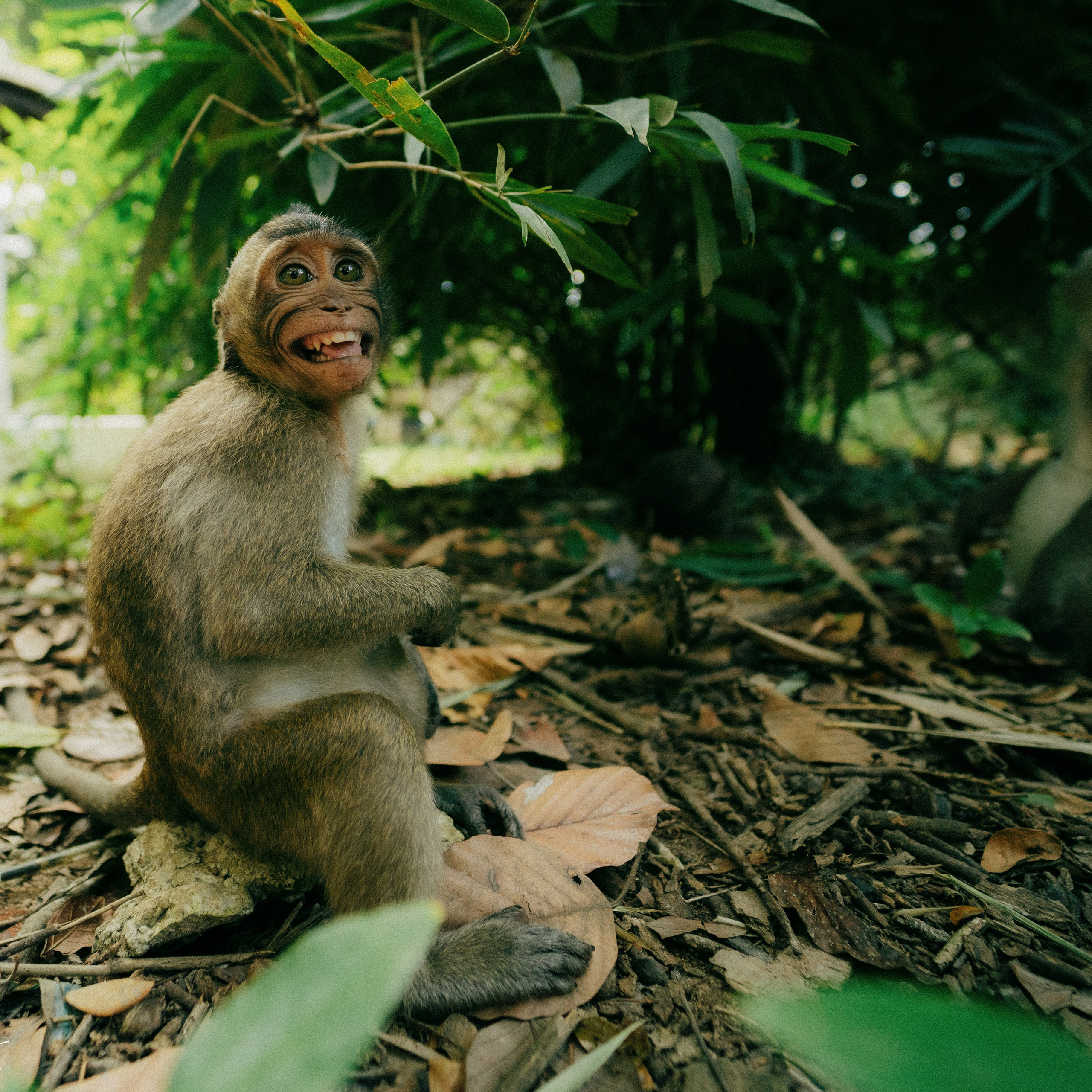 Angkor Wat. Lifestyle and wedding photographer in Dubai Valeria Kikvidze