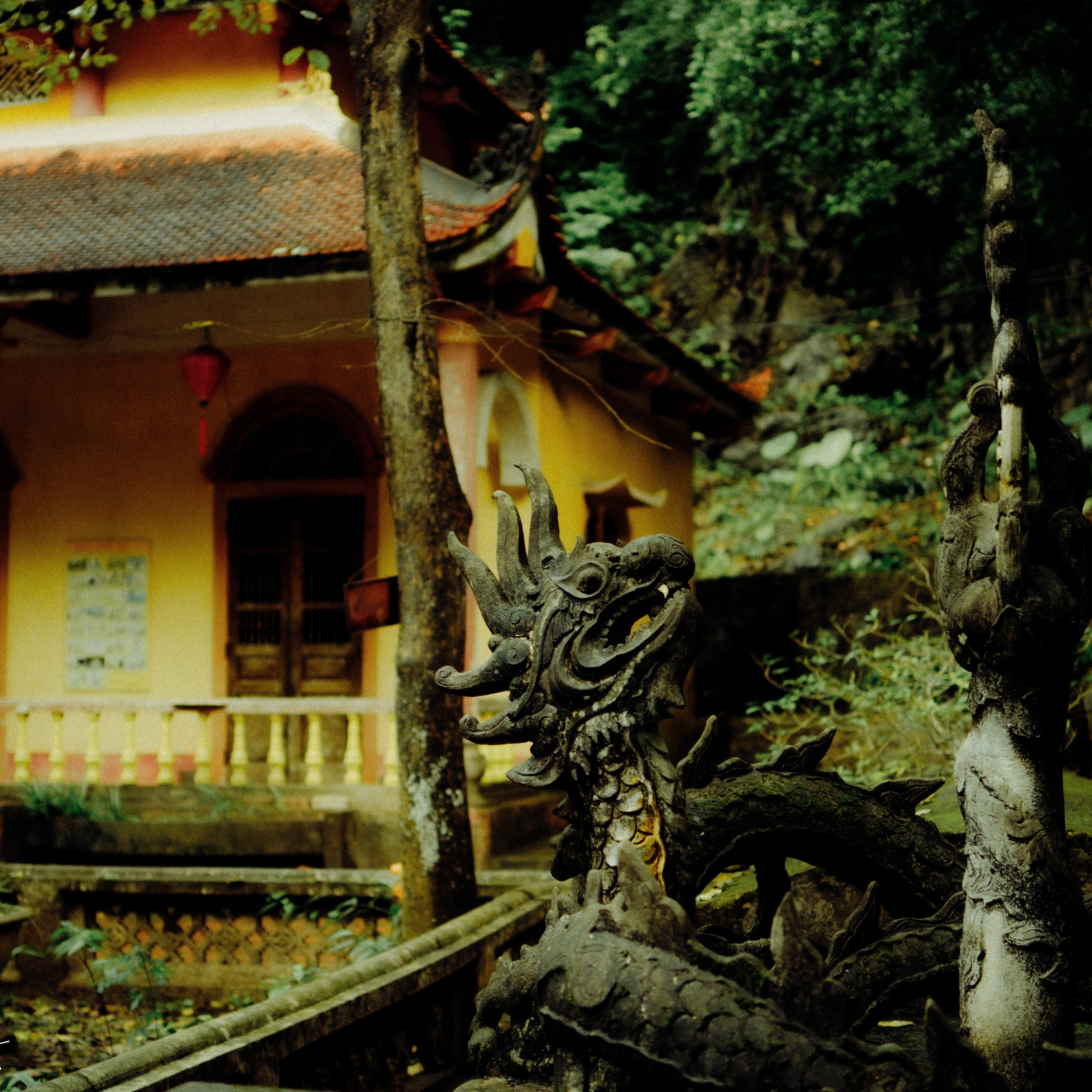 Ninh Binh. Lifestyle and wedding photographer in Dubai Valeria Kikvidze