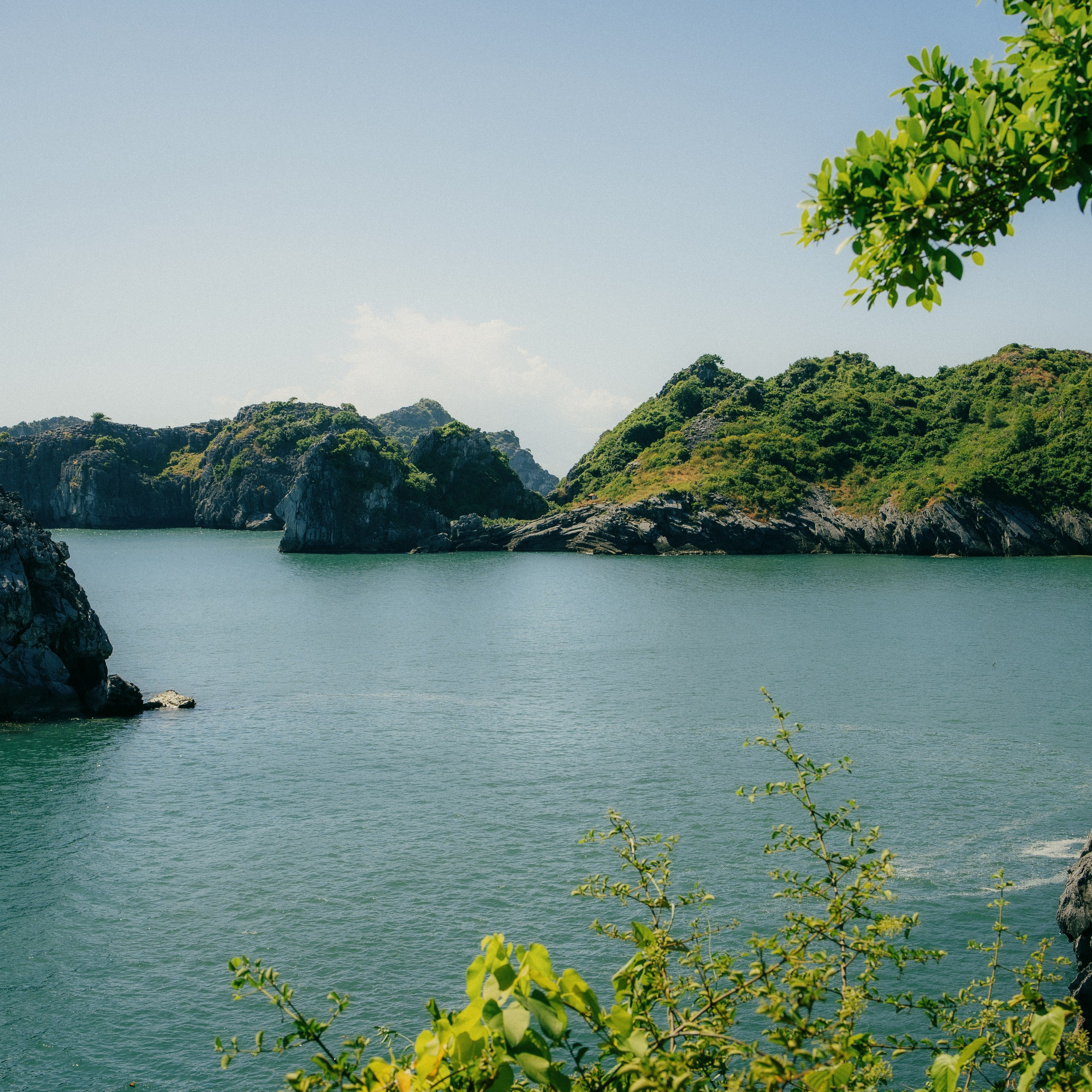 Cat Ba. Lifestyle and wedding photographer in Dubai Valeria Kikvidze