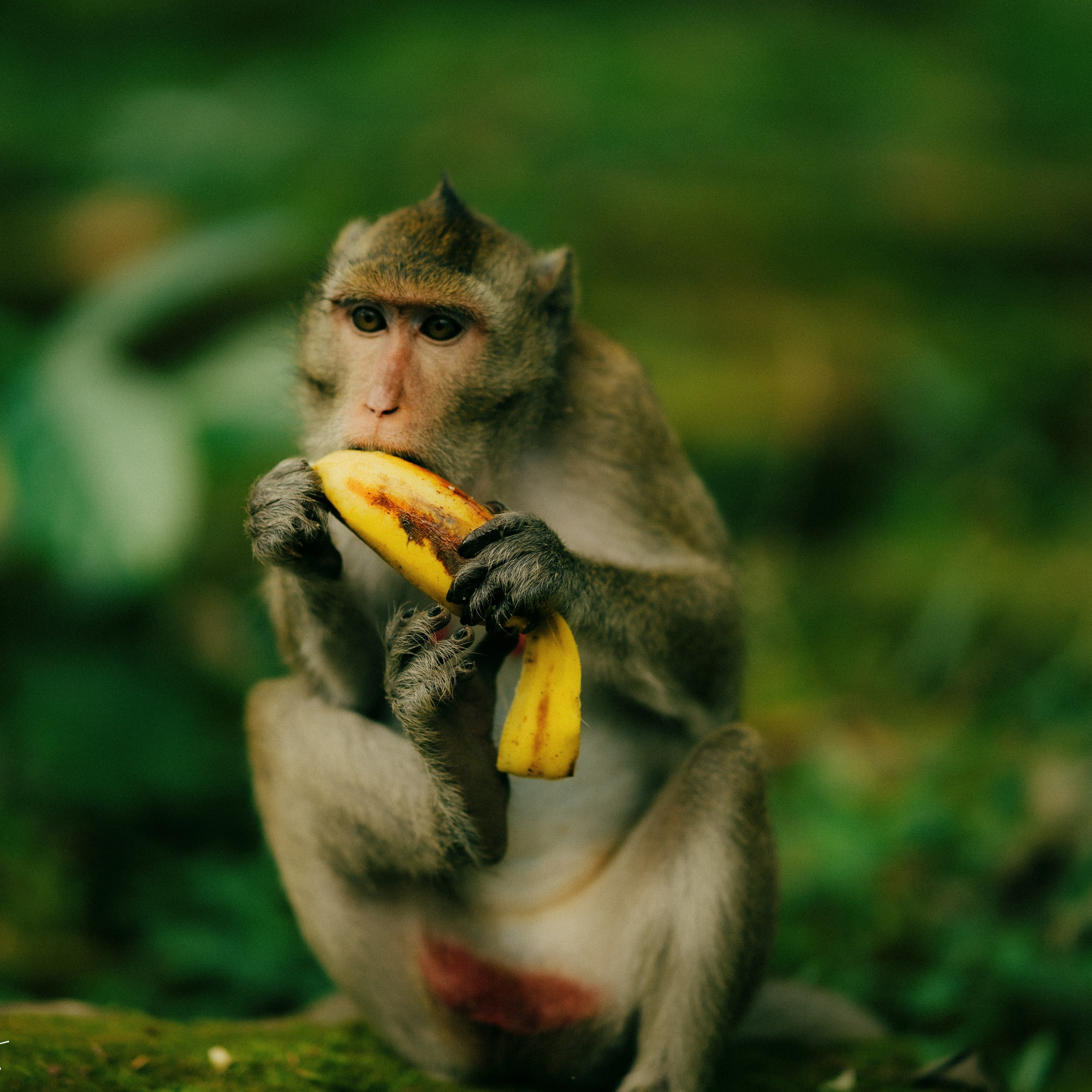 Angkor Wat. Lifestyle and wedding photographer in Dubai Valeria Kikvidze