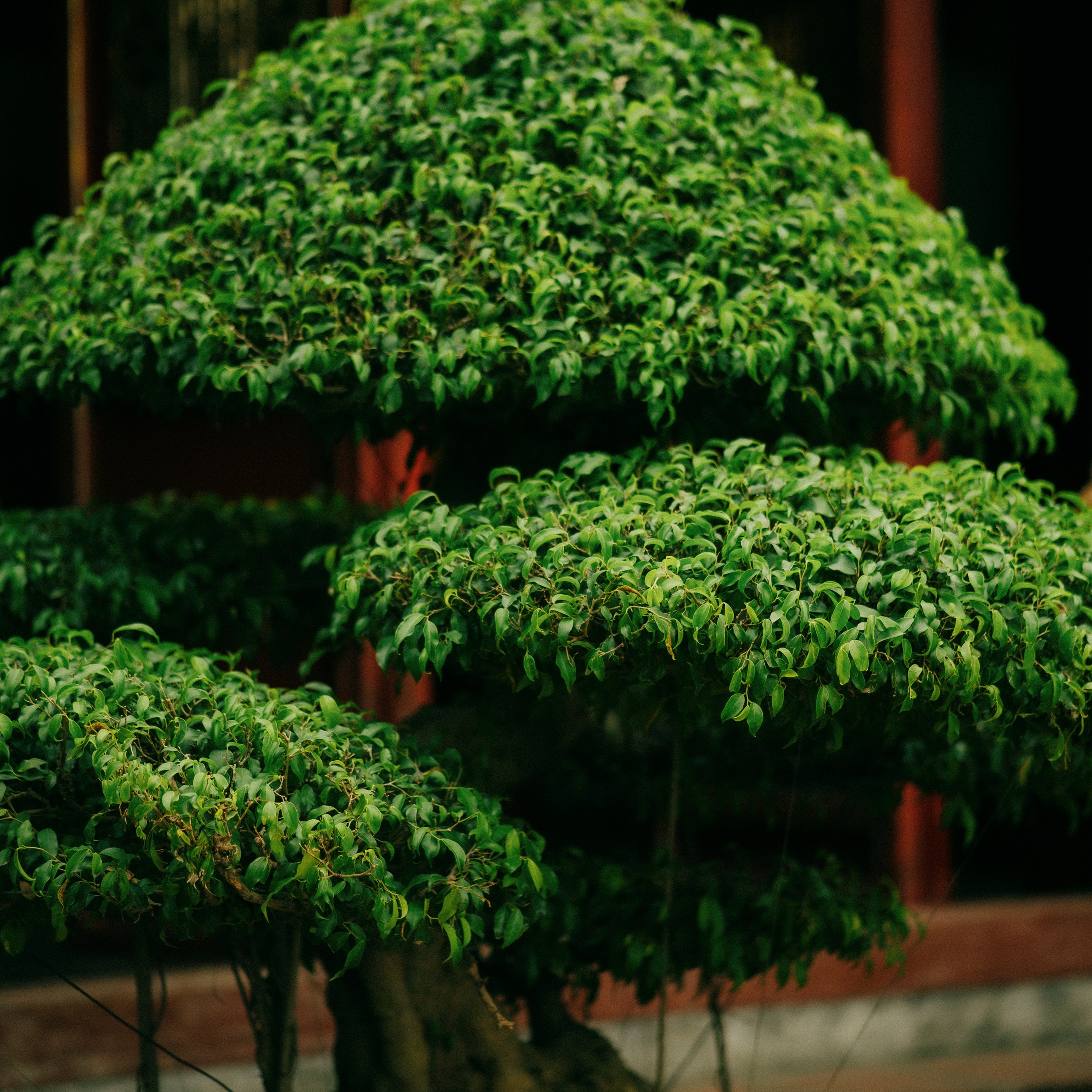 Hanoi. Lifestyle and wedding photographer in Dubai Valeria Kikvidze