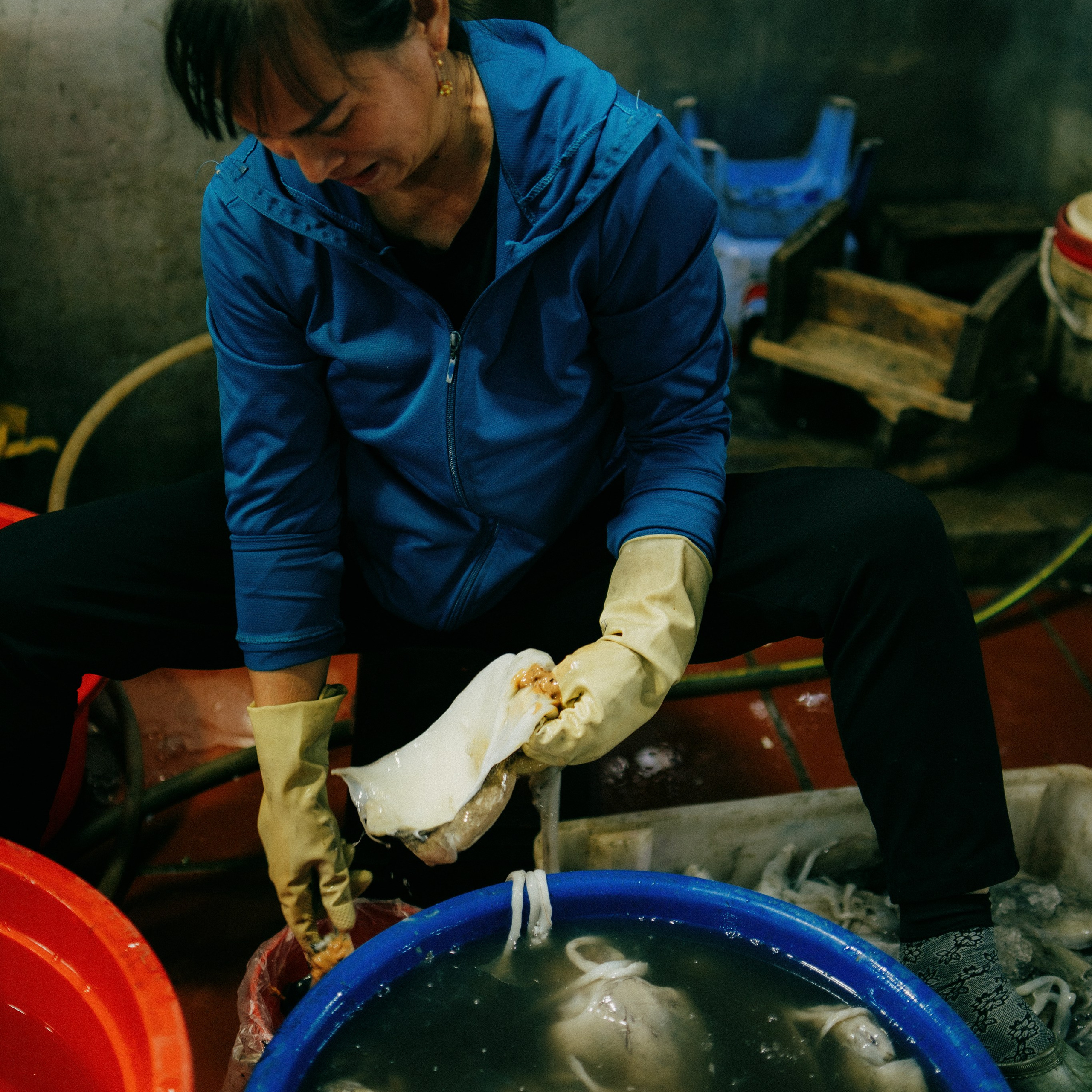 Cat Ba. Lifestyle and wedding photographer in Dubai Valeria Kikvidze