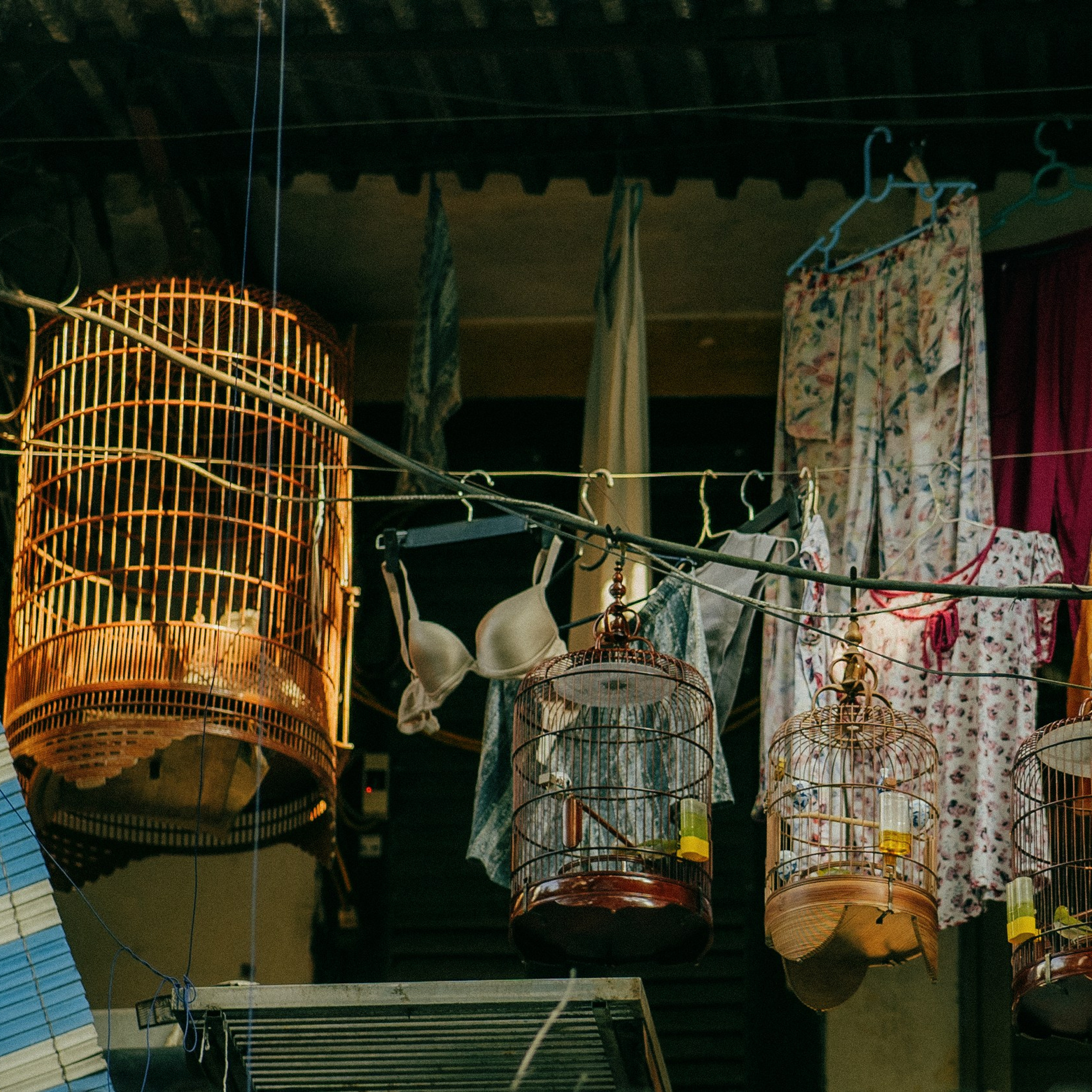 Hanoi. Lifestyle and wedding photographer in Dubai Valeria Kikvidze