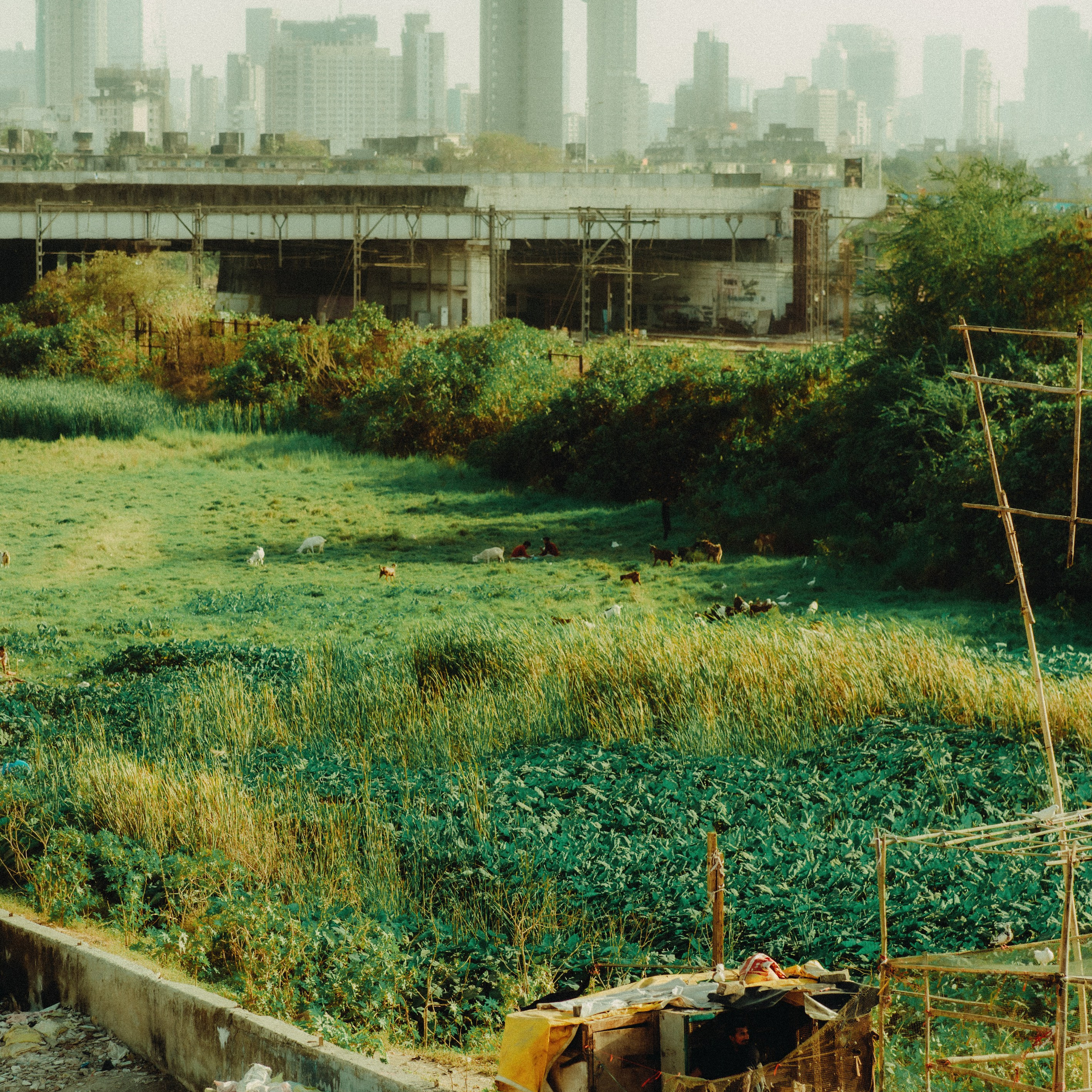 Mumbai. Lifestyle and wedding photographer in Dubai Valeria Kikvidze