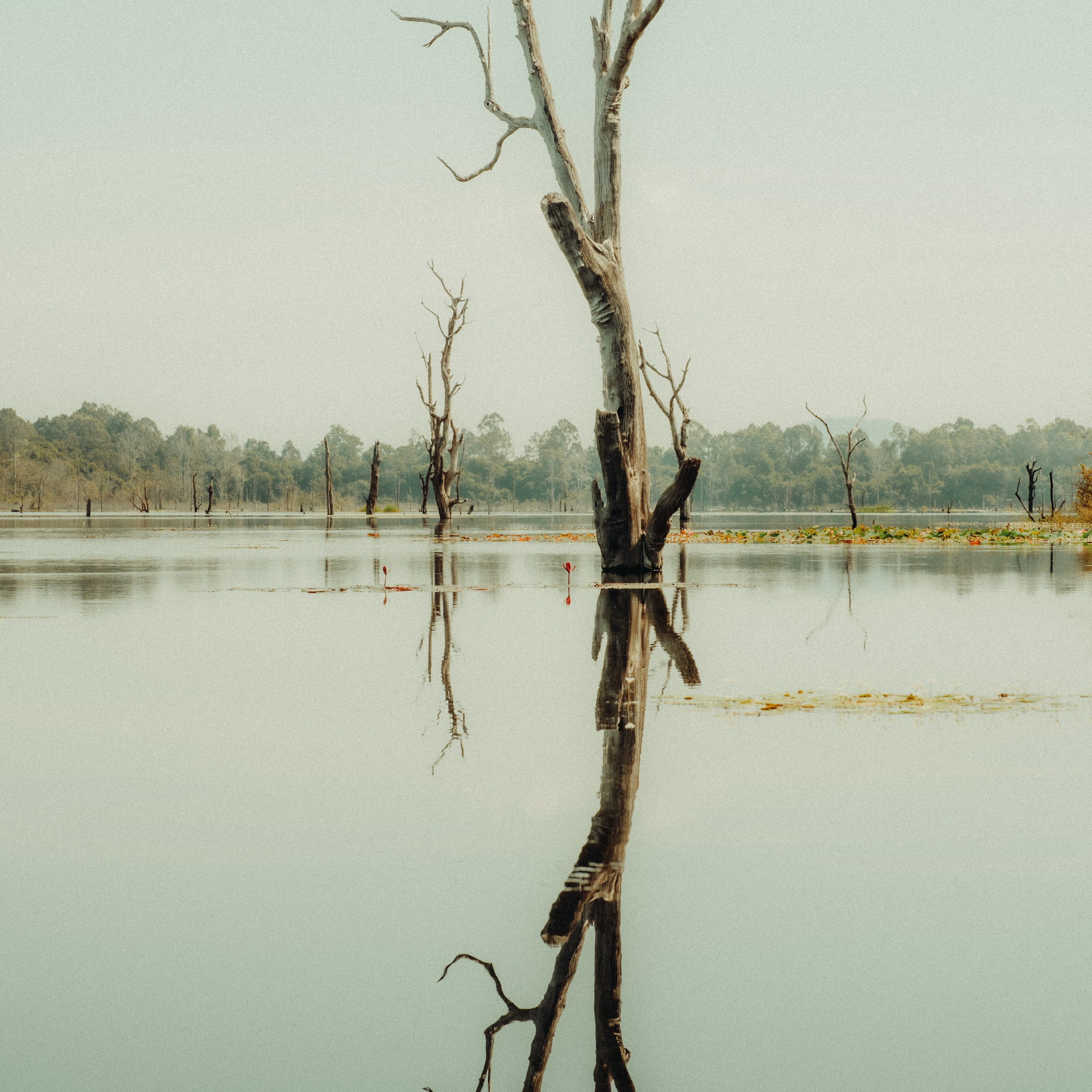 Angkor Wat. Lifestyle and wedding photographer in Dubai Valeria Kikvidze