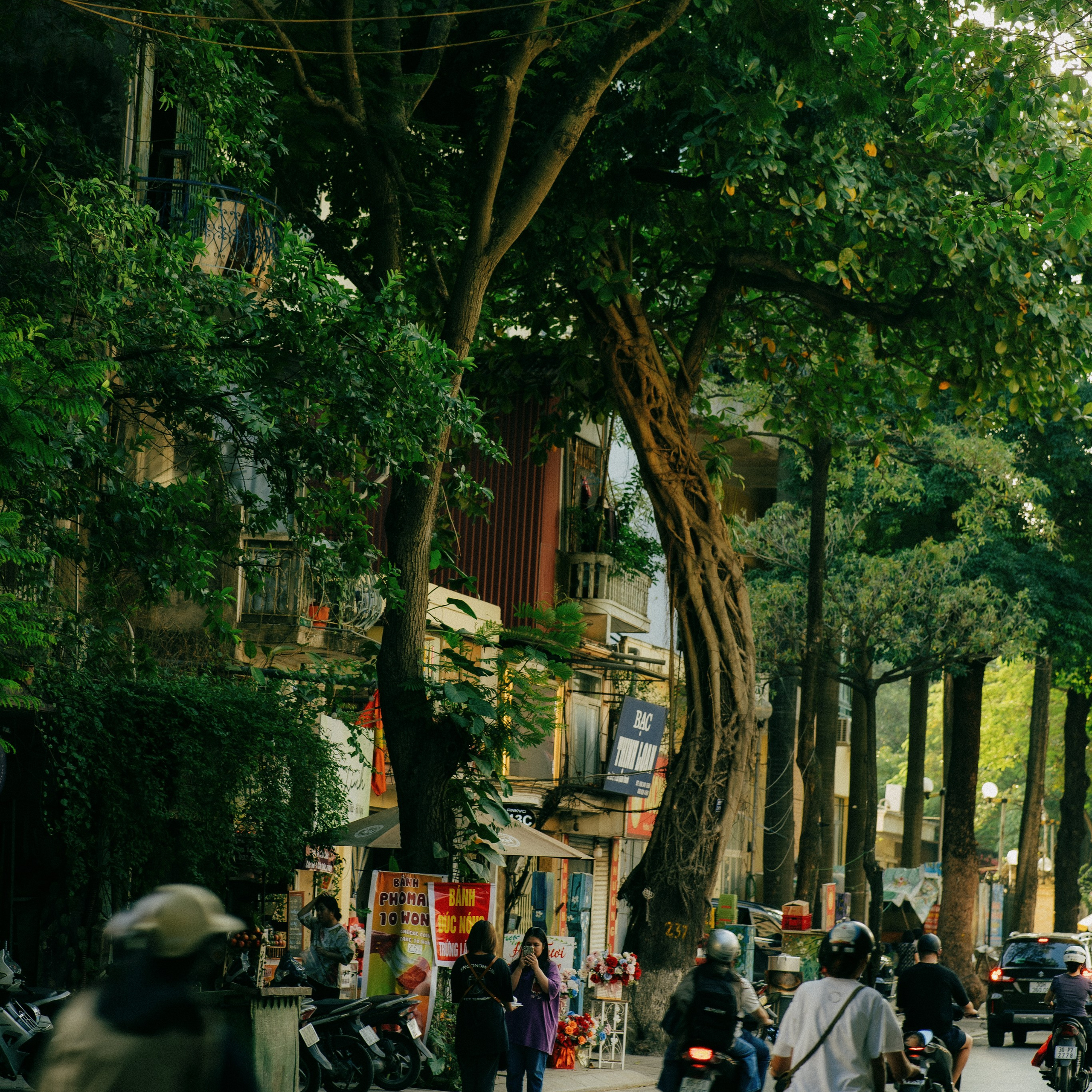 Hanoi. Lifestyle and wedding photographer in Dubai Valeria Kikvidze