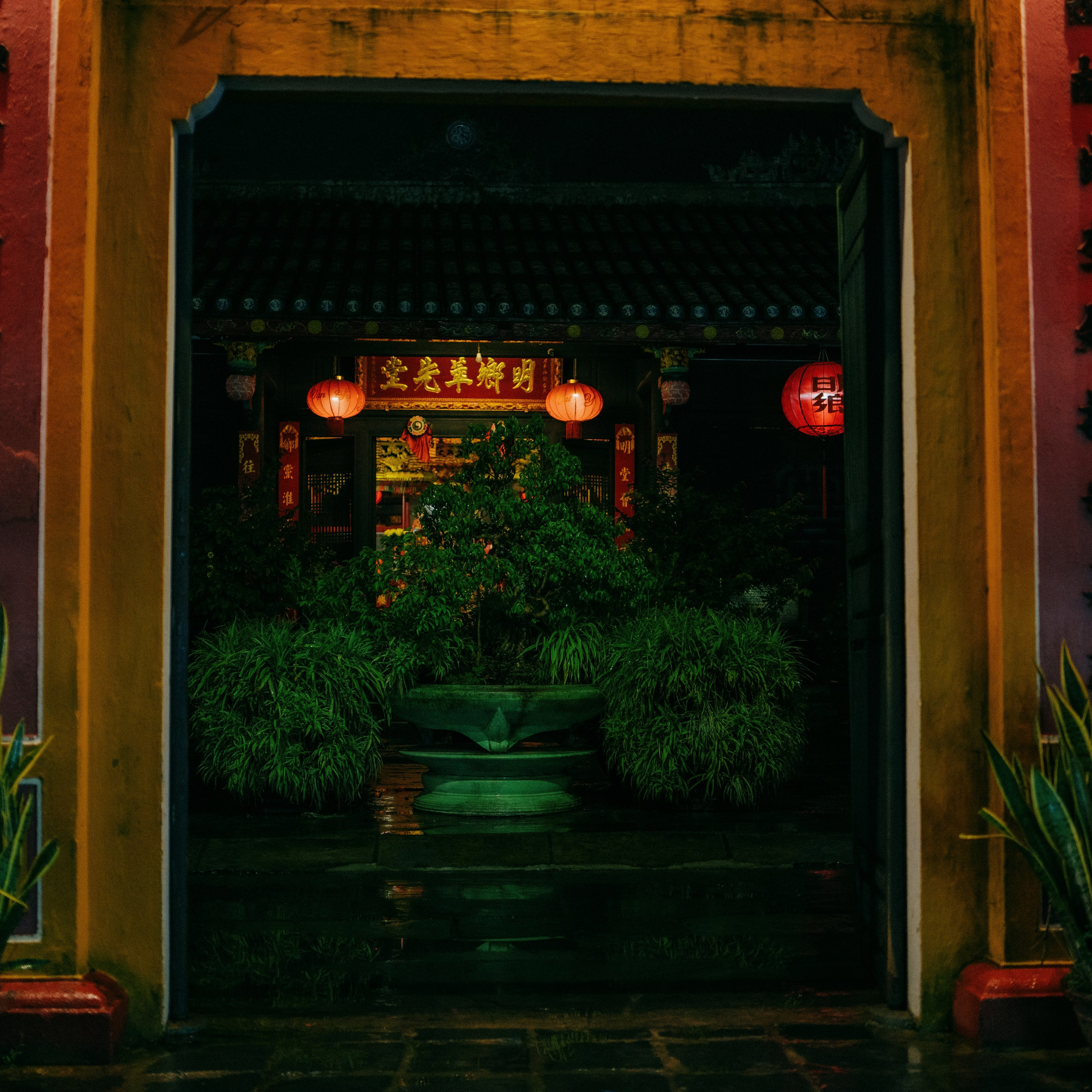 Hoi An. Lifestyle and wedding photographer in Dubai Valeria Kikvidze