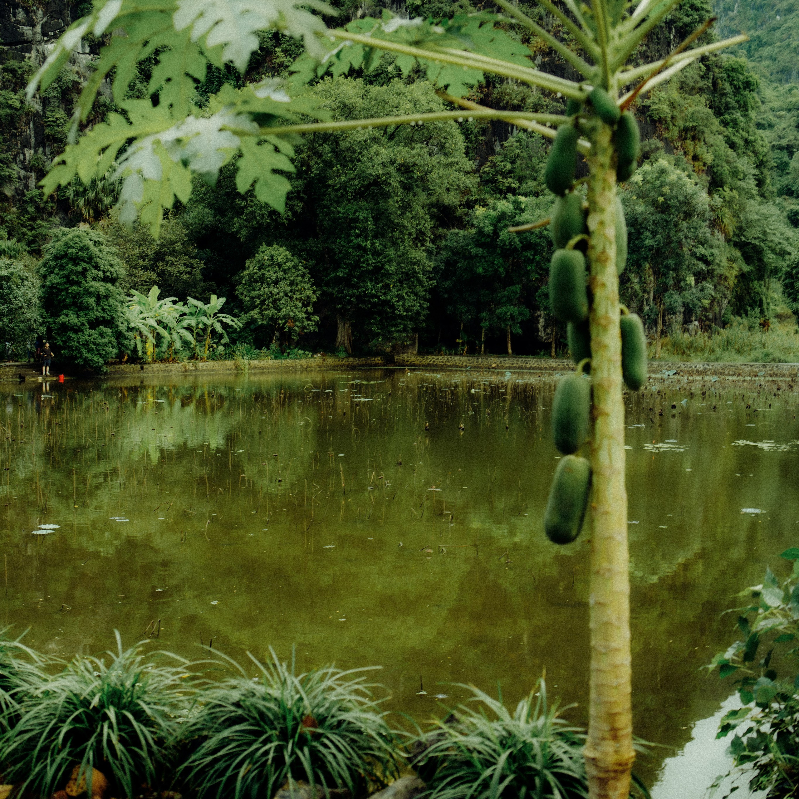 Ninh Binh. Lifestyle and wedding photographer in Dubai Valeria Kikvidze