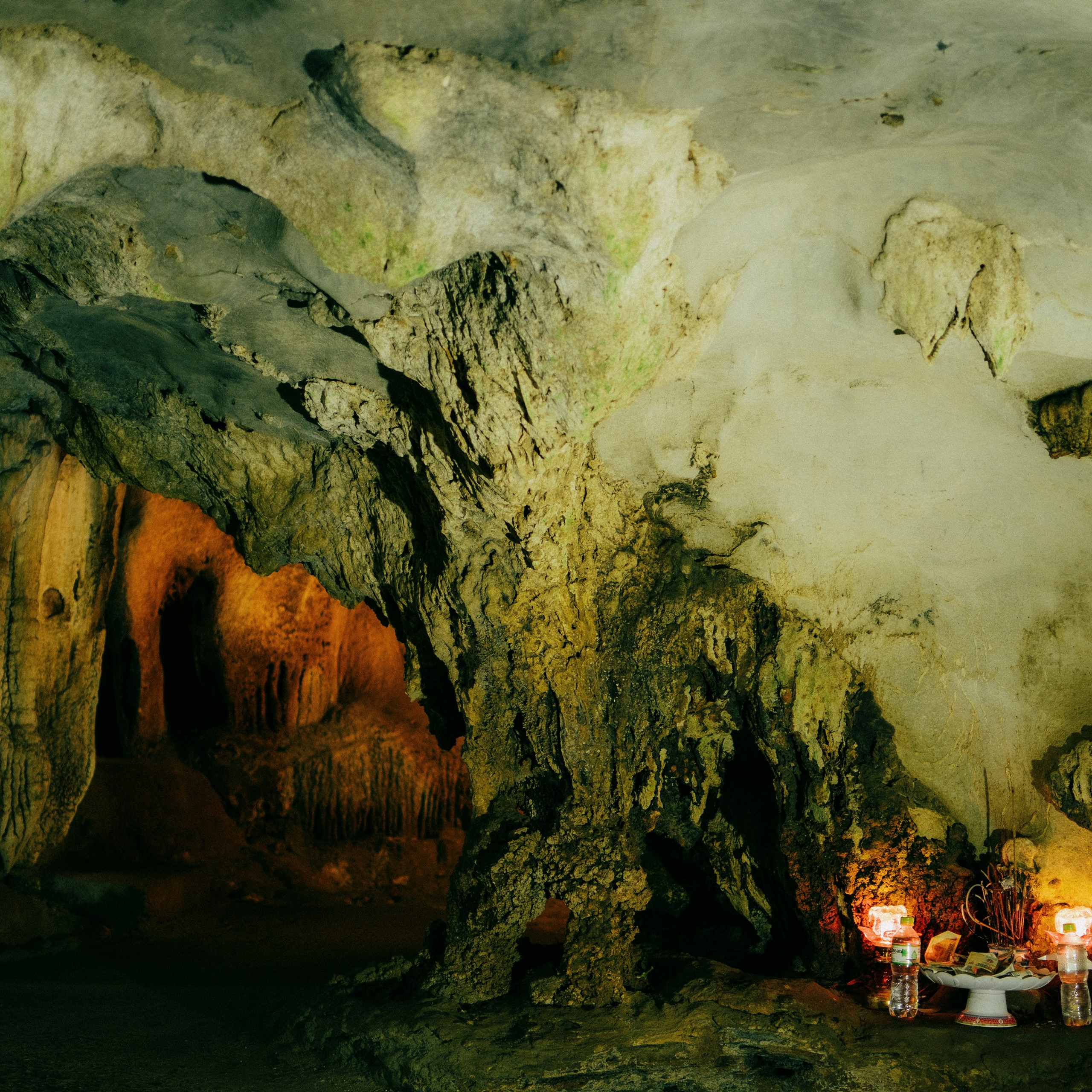 Cat Ba. Lifestyle and wedding photographer in Dubai Valeria Kikvidze