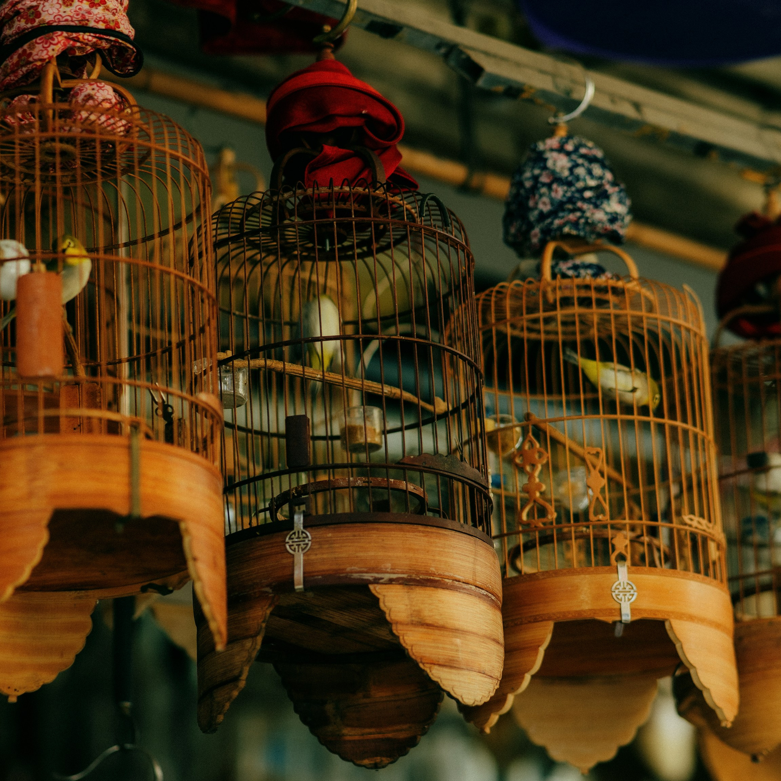 Hanoi. Lifestyle and wedding photographer in Dubai Valeria Kikvidze