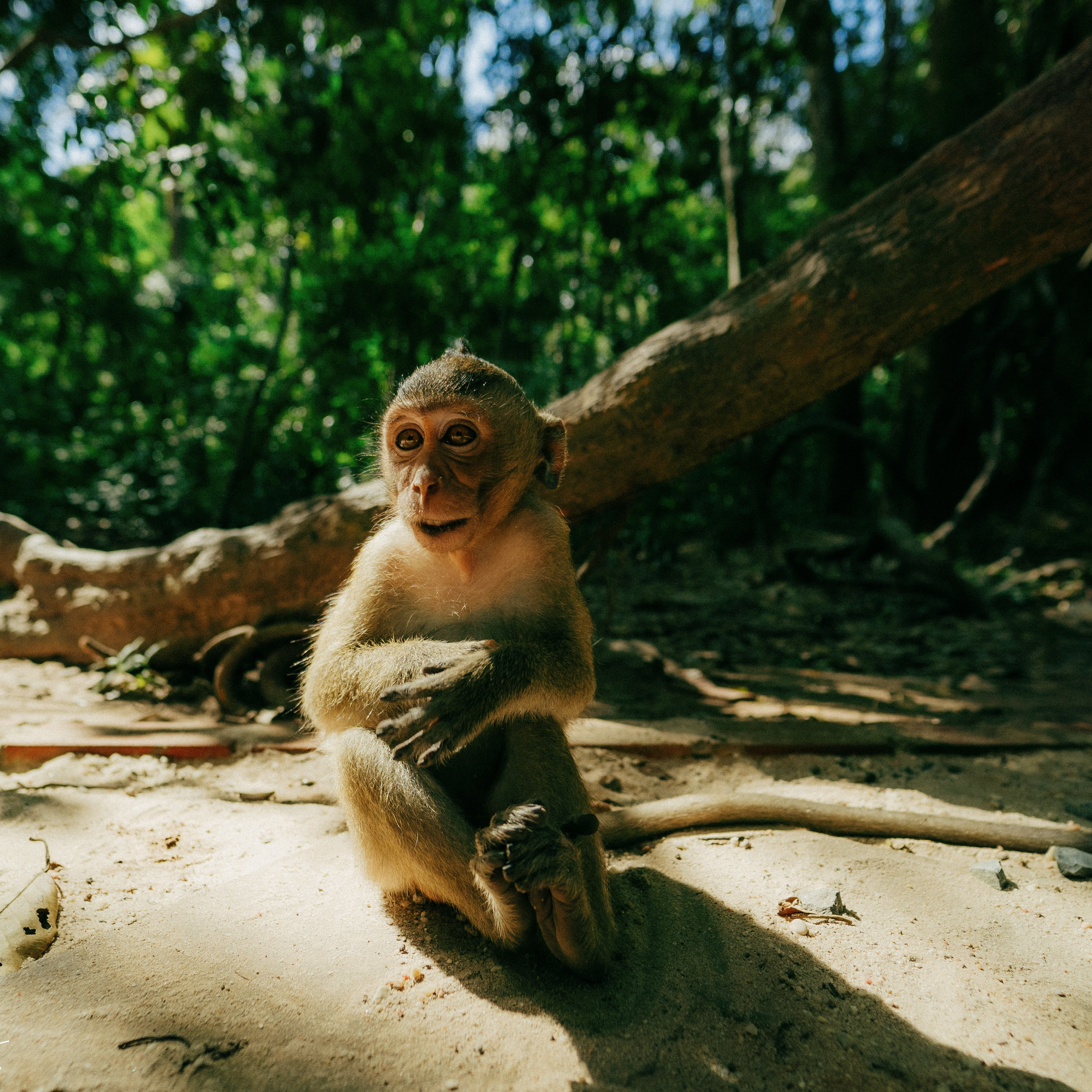 Angkor Wat. Lifestyle and wedding photographer in Dubai Valeria Kikvidze