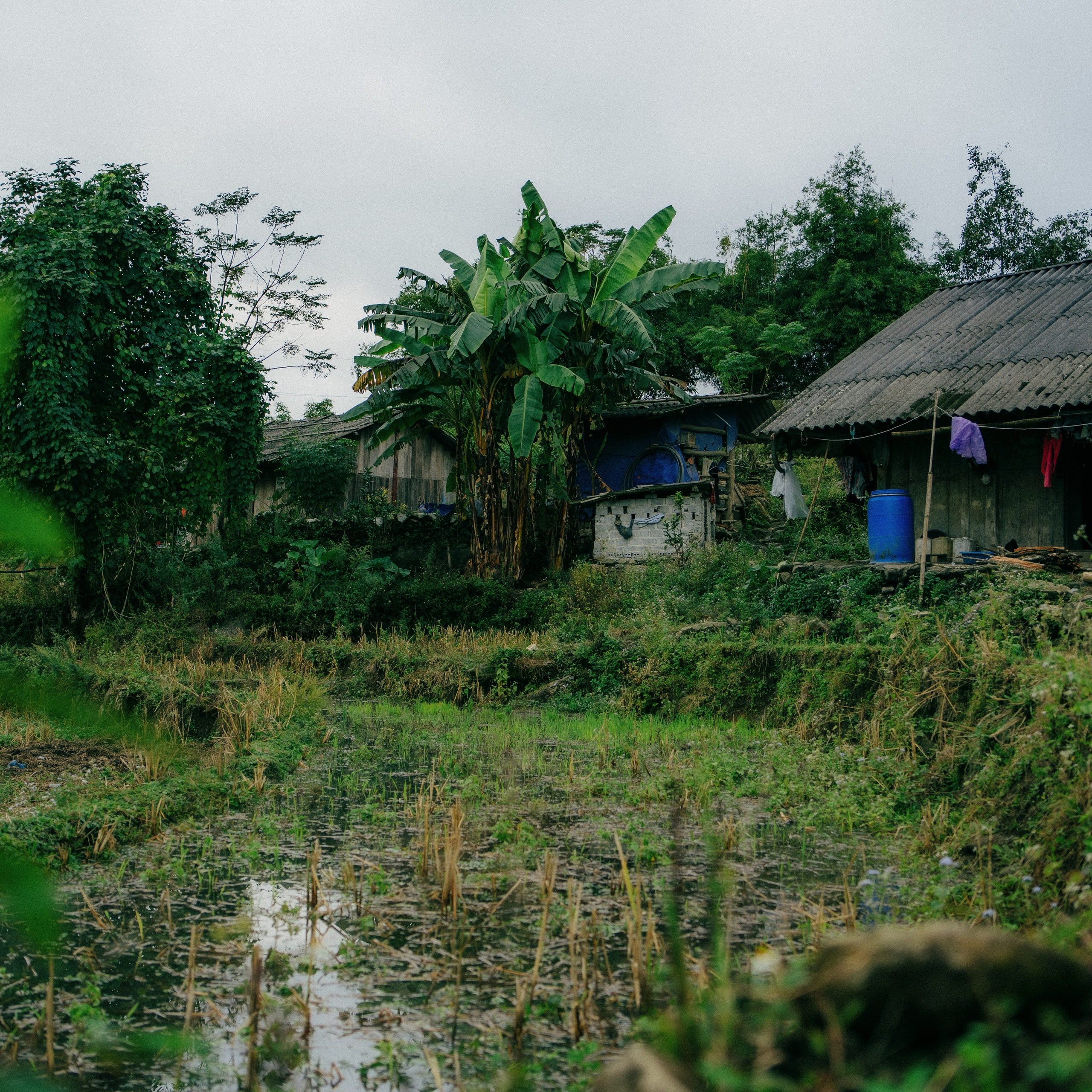 Ninh Binh. Lifestyle and wedding photographer in Dubai Valeria Kikvidze