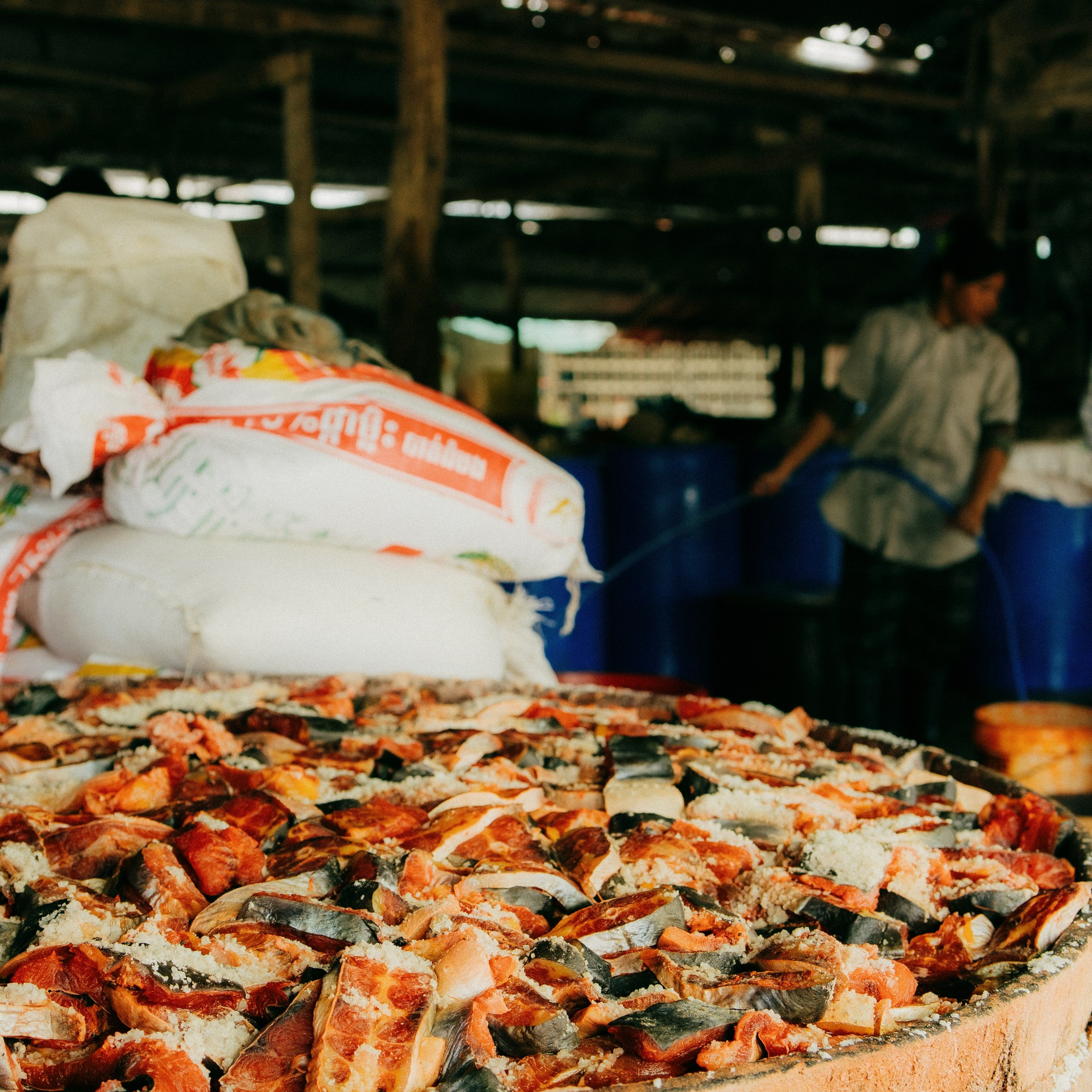 Battambang. Lifestyle and wedding photographer in Dubai Valeria Kikvidze