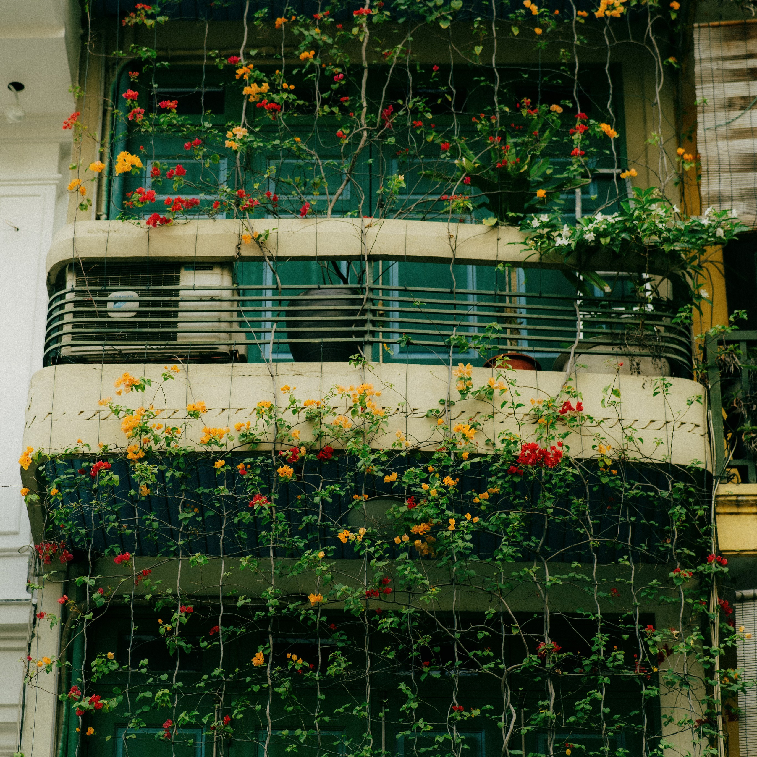 Hanoi. Lifestyle and wedding photographer in Dubai Valeria Kikvidze