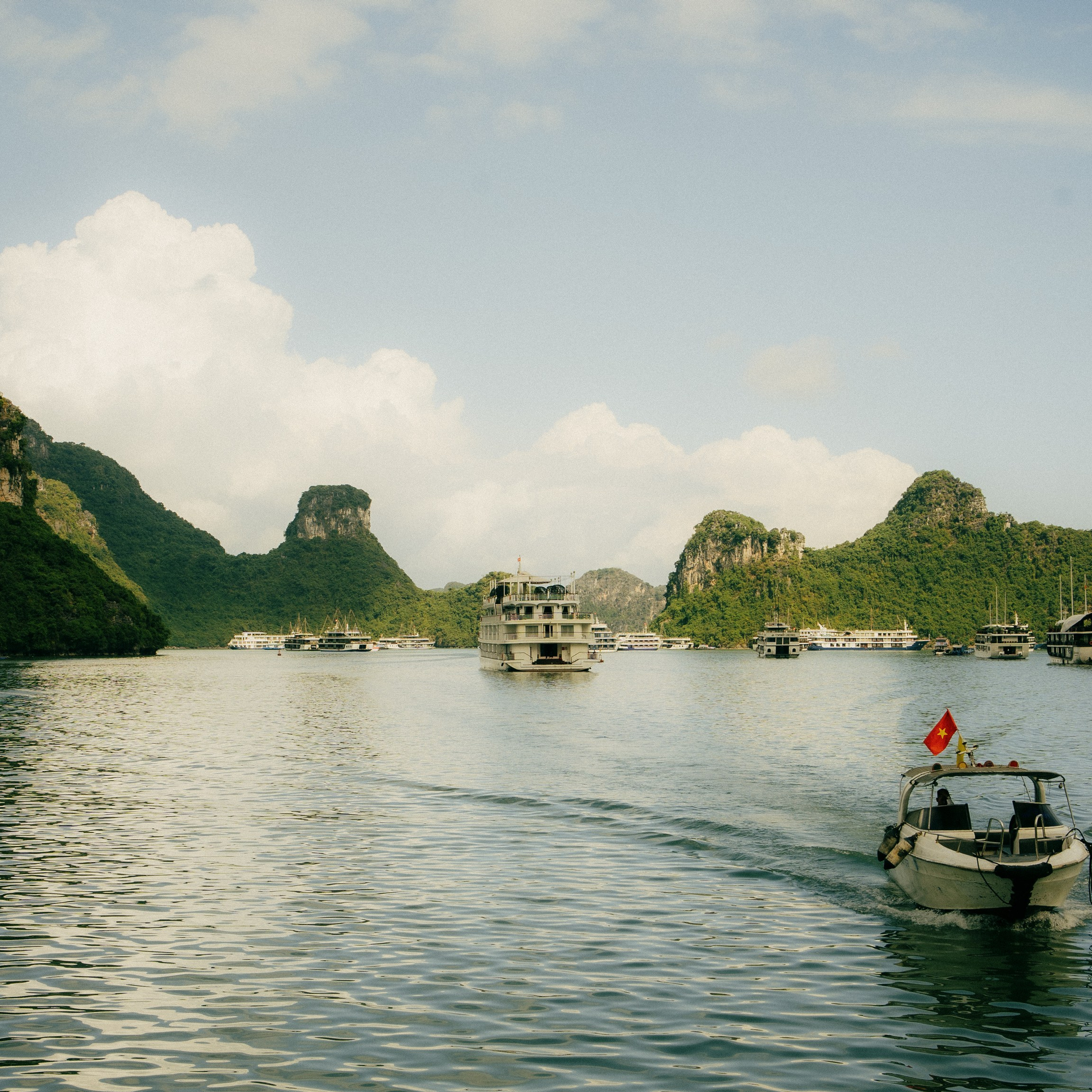 Cat Ba. Lifestyle and wedding photographer in Dubai Valeria Kikvidze