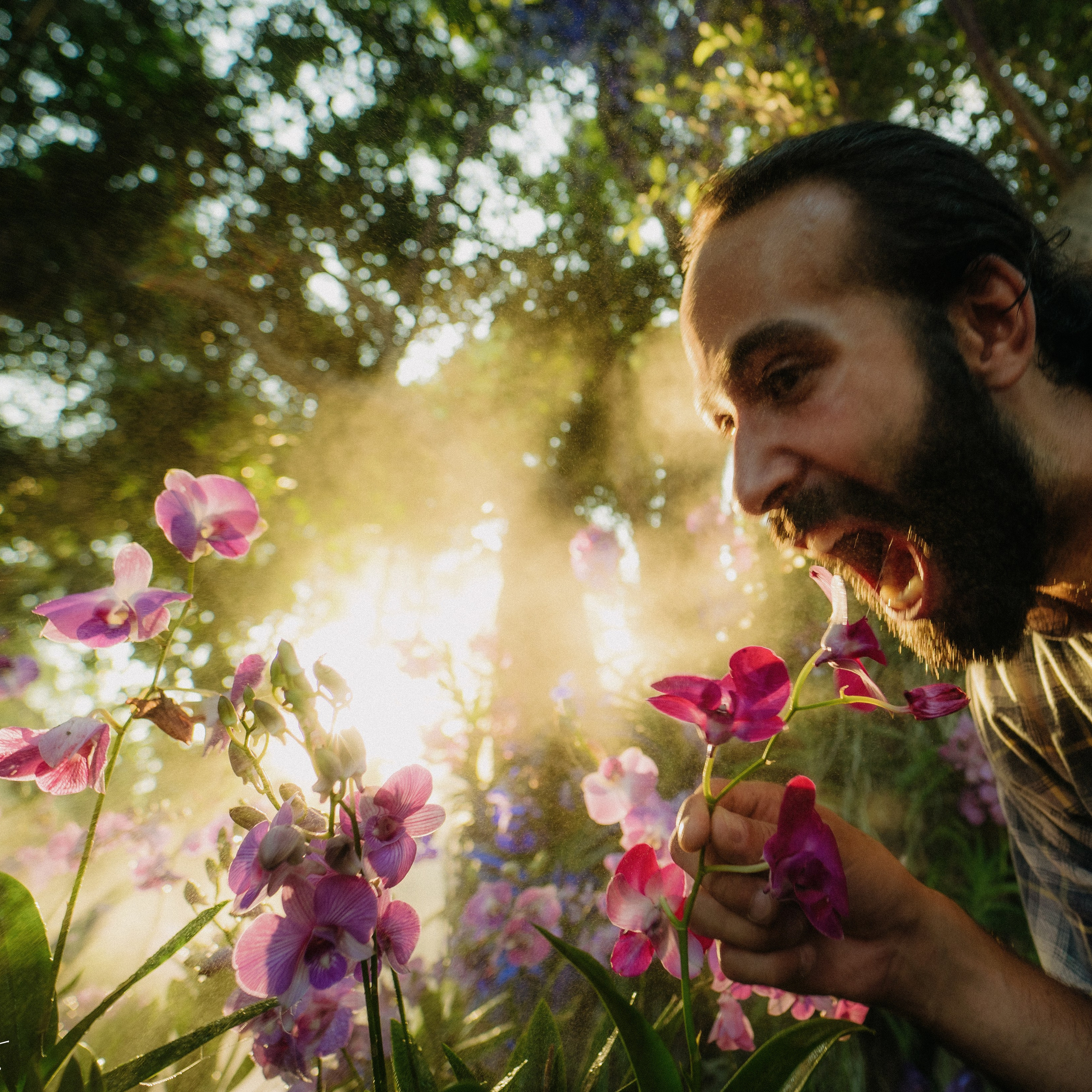 Orchies. Lifestyle and wedding photographer in Dubai Valeria Kikvidze