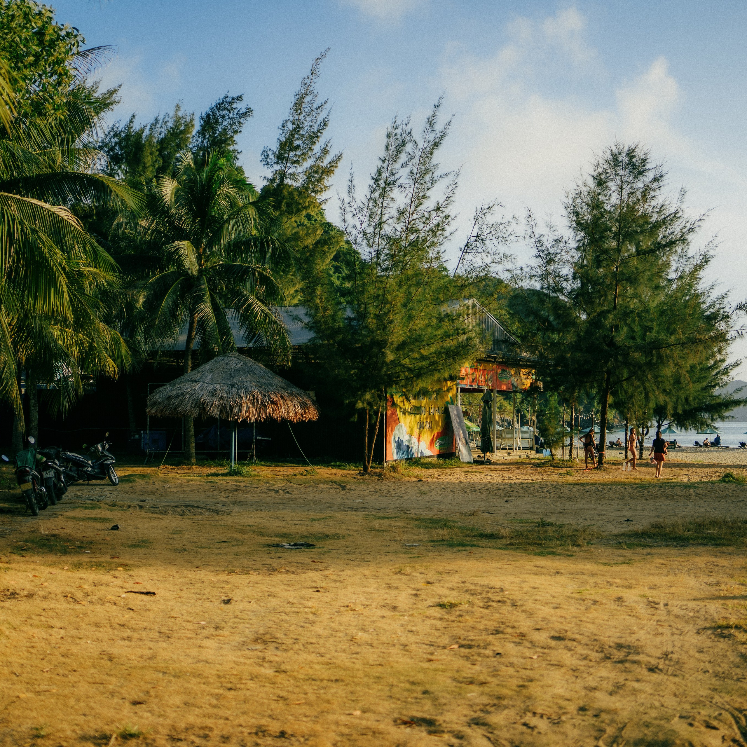 Cat Ba. Lifestyle and wedding photographer in Dubai Valeria Kikvidze