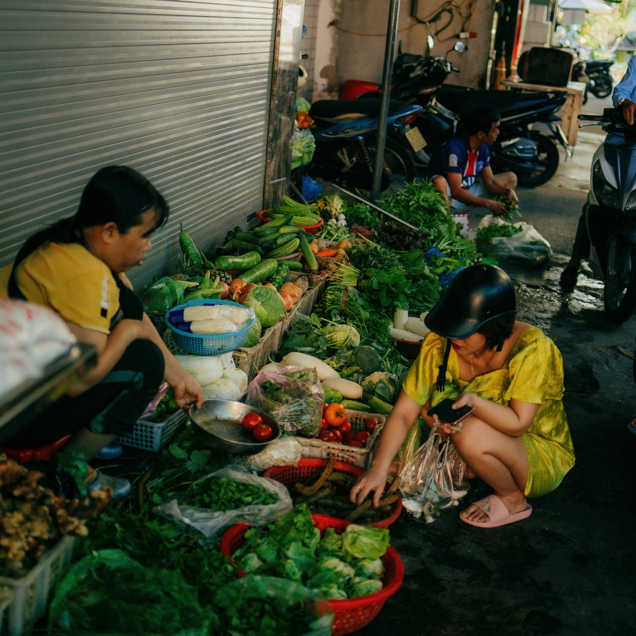 Cat Ba. Lifestyle and wedding photographer in Dubai Valeria Kikvidze