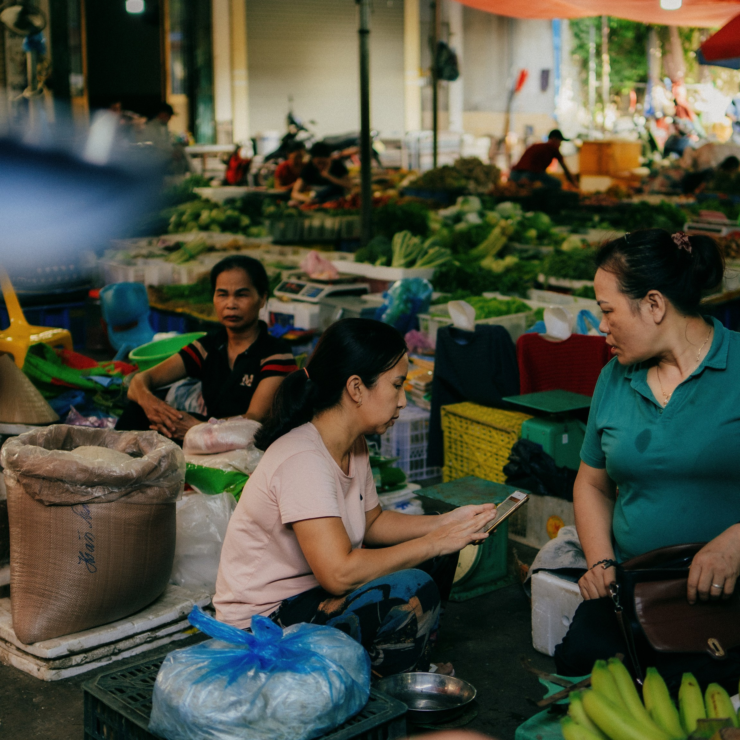 Cat Ba. Lifestyle and wedding photographer in Dubai Valeria Kikvidze