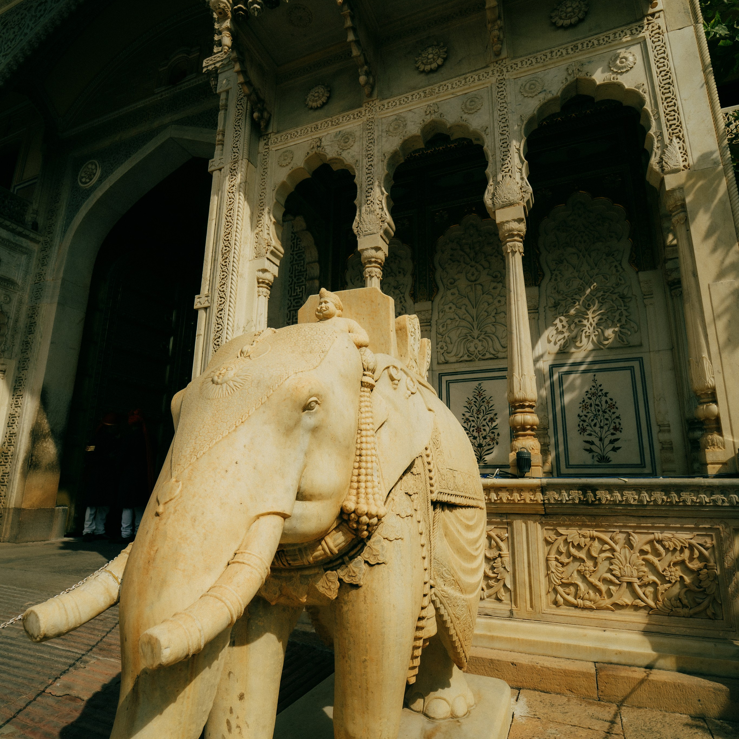 Jaipur. Lifestyle and wedding photographer in Dubai Valeria Kikvidze