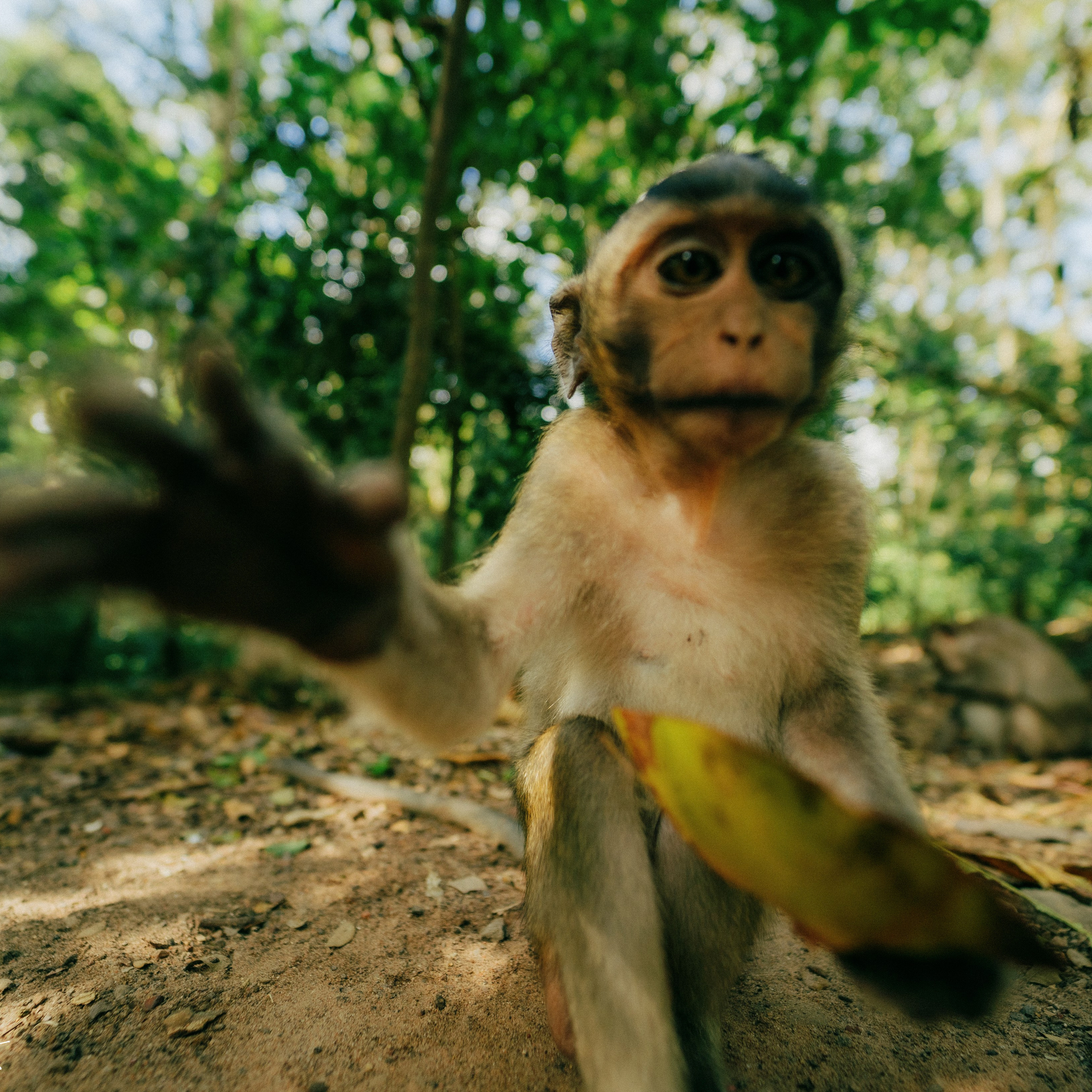 Angkor Wat. Lifestyle and wedding photographer in Dubai Valeria Kikvidze