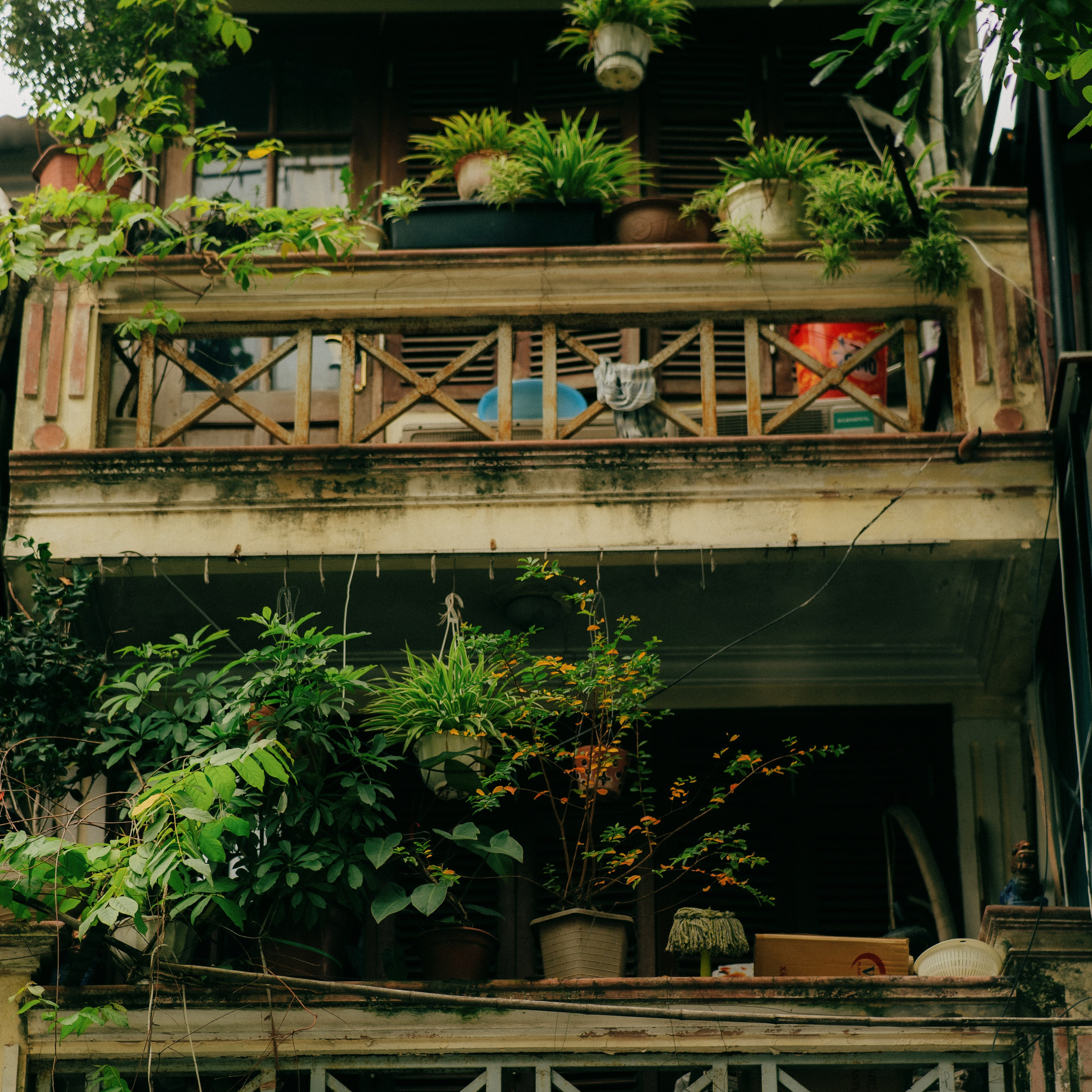 Hanoi. Lifestyle and wedding photographer in Dubai Valeria Kikvidze