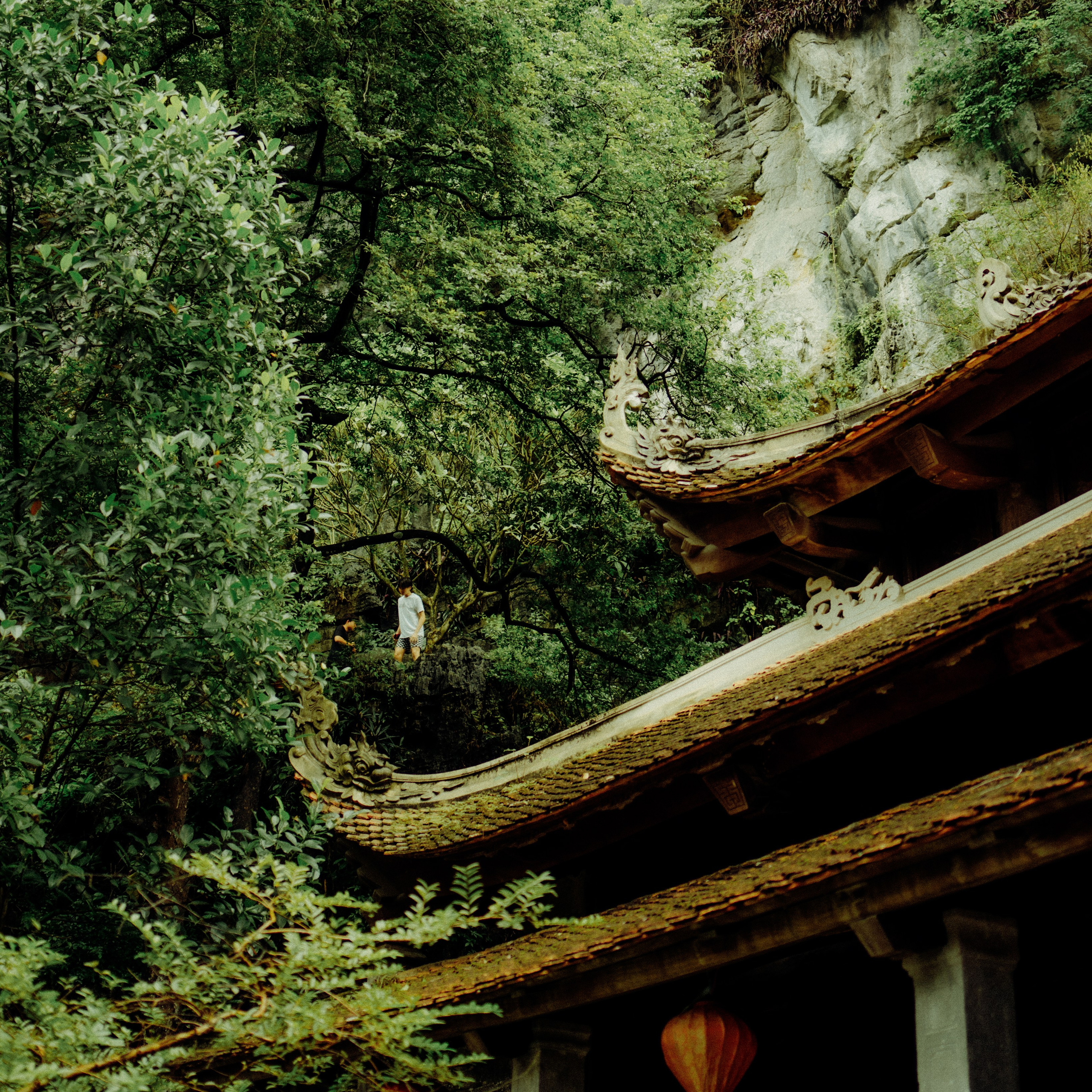 Ninh Binh. Lifestyle and wedding photographer in Dubai Valeria Kikvidze