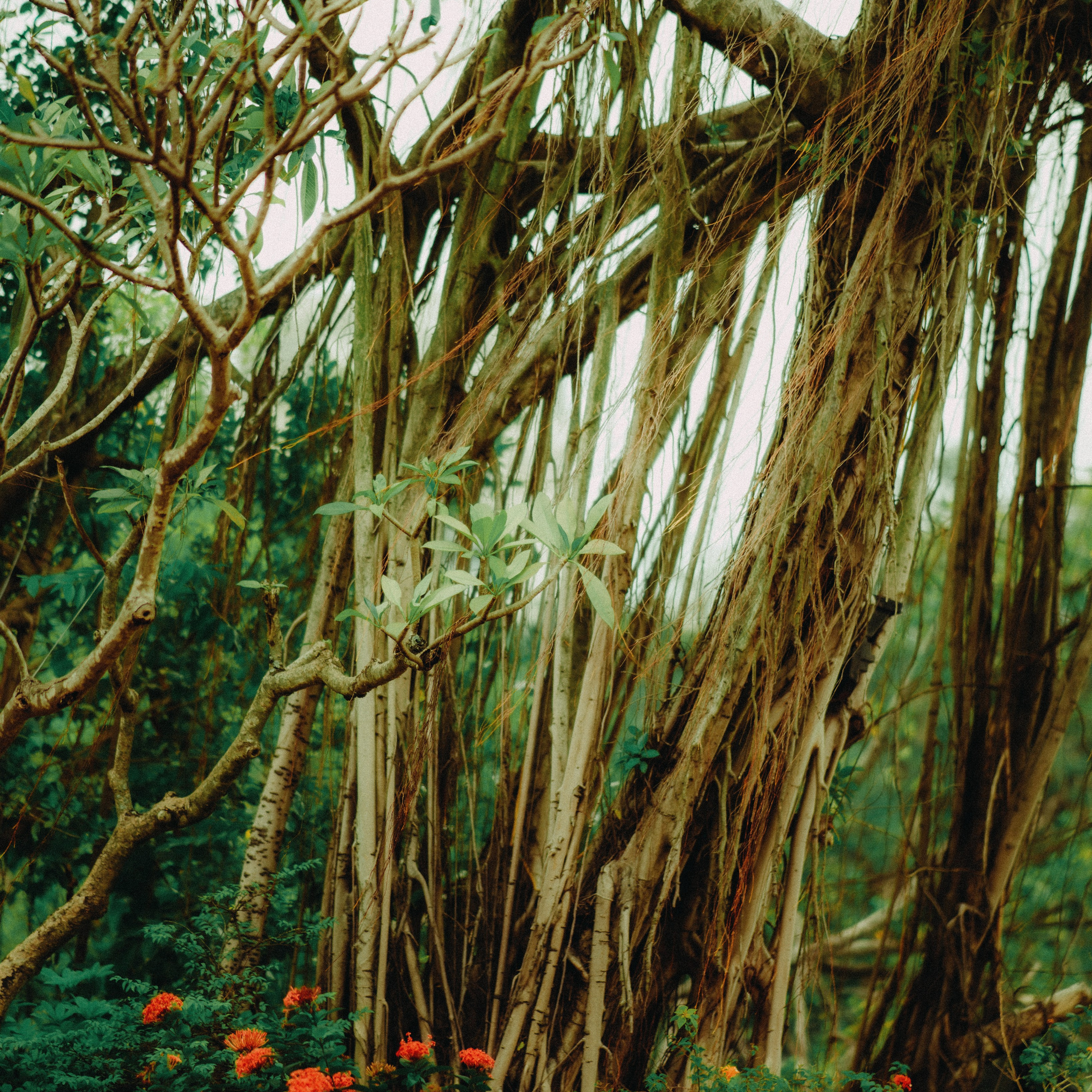 Hanoi. Lifestyle and wedding photographer in Dubai Valeria Kikvidze