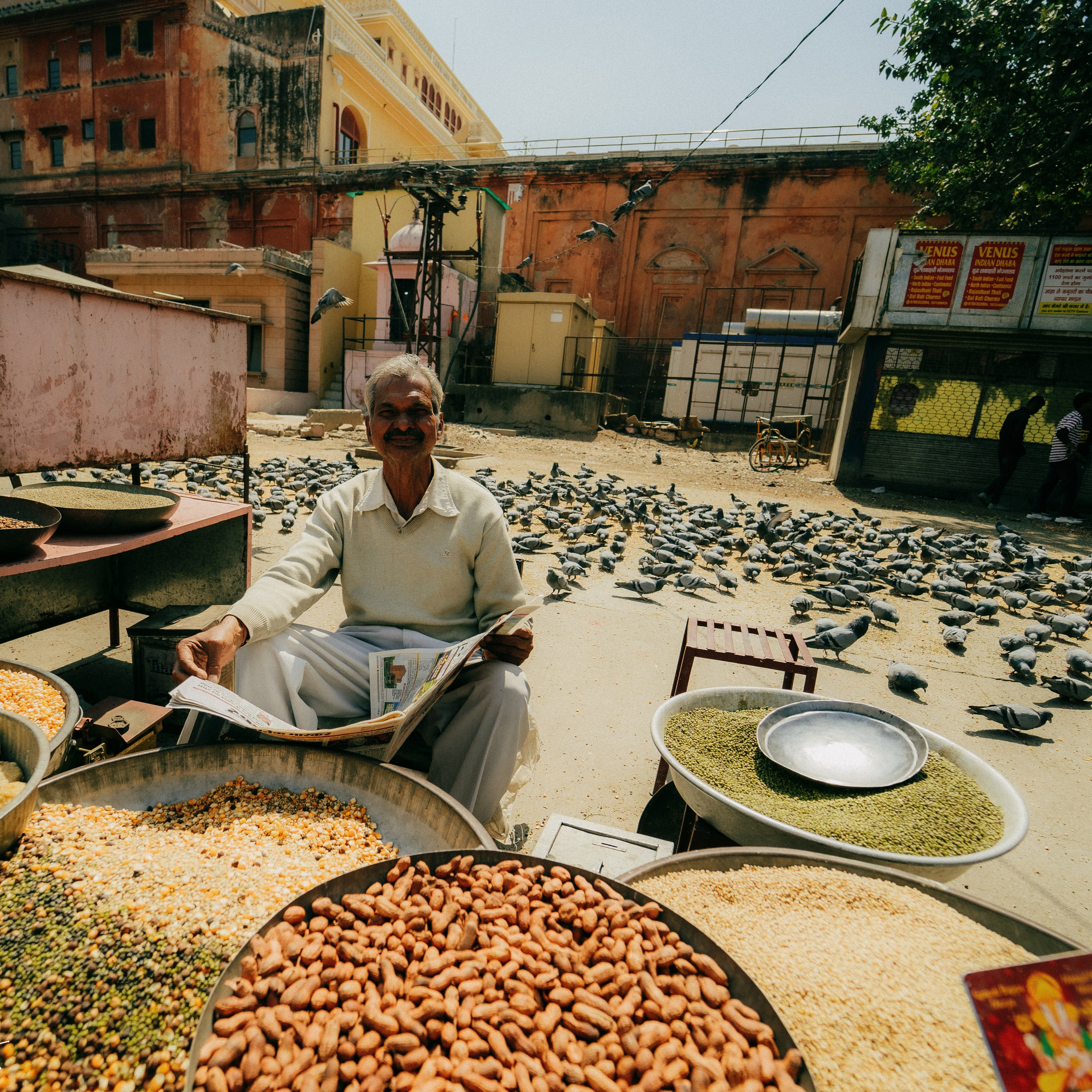 Jaipur. Lifestyle and wedding photographer in Dubai Valeria Kikvidze