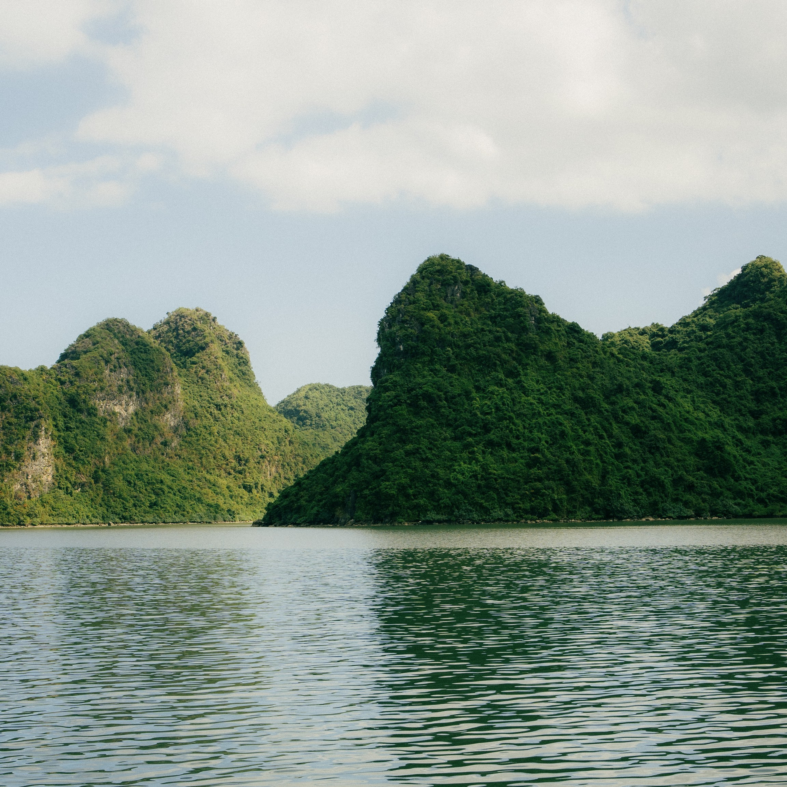 Cat Ba. Lifestyle and wedding photographer in Dubai Valeria Kikvidze